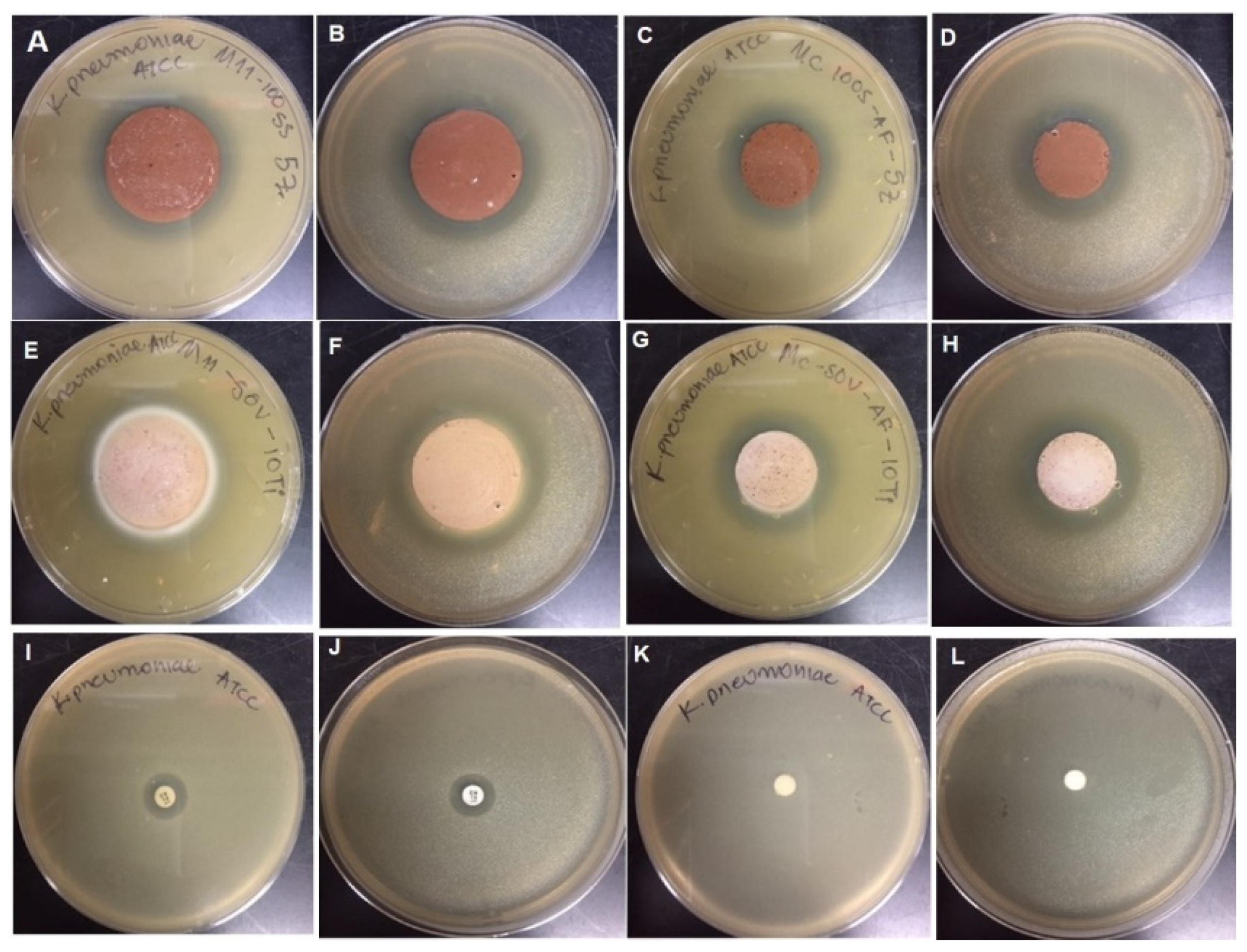 Coatings 12 00035 g010