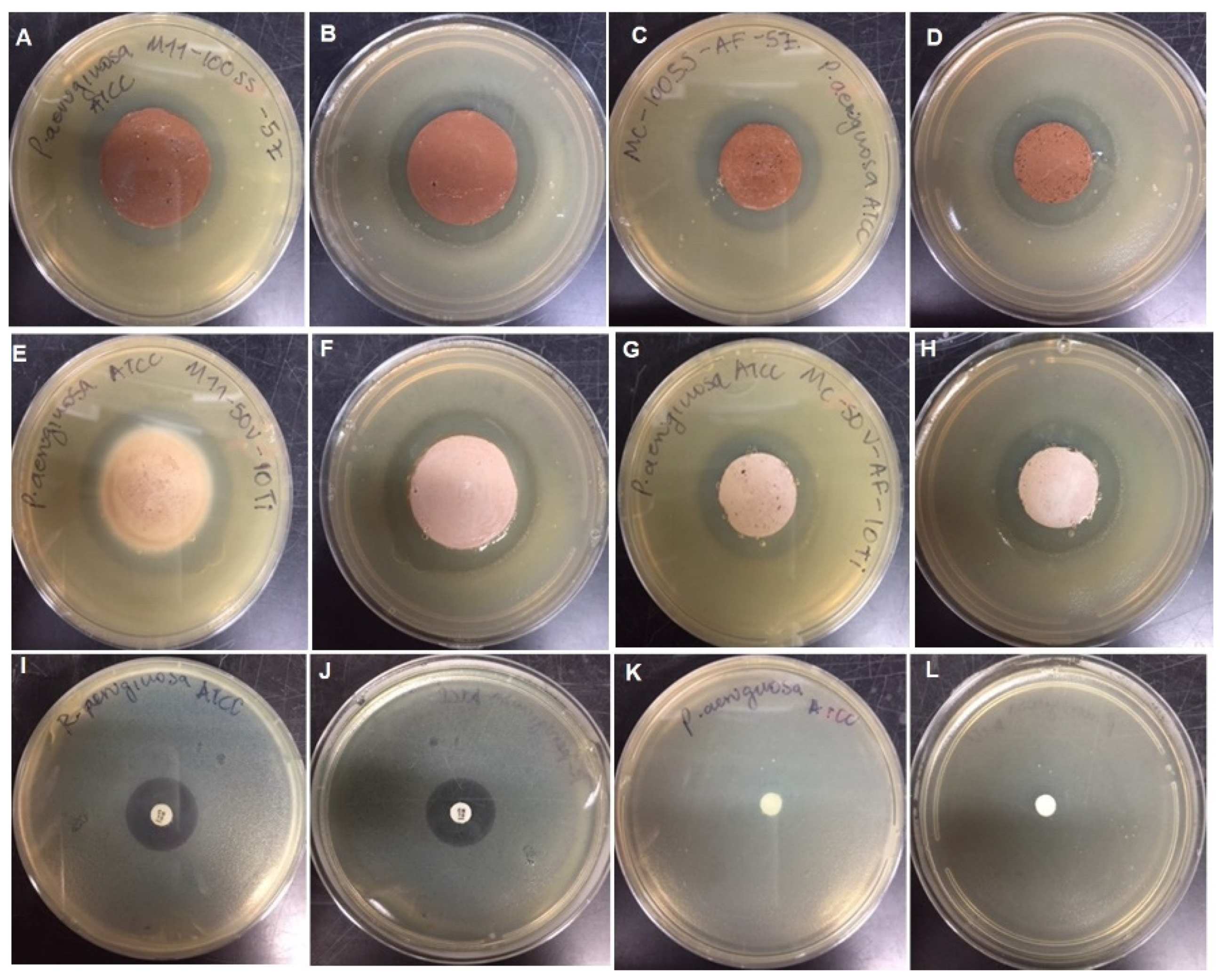 Coatings 12 00035 g011