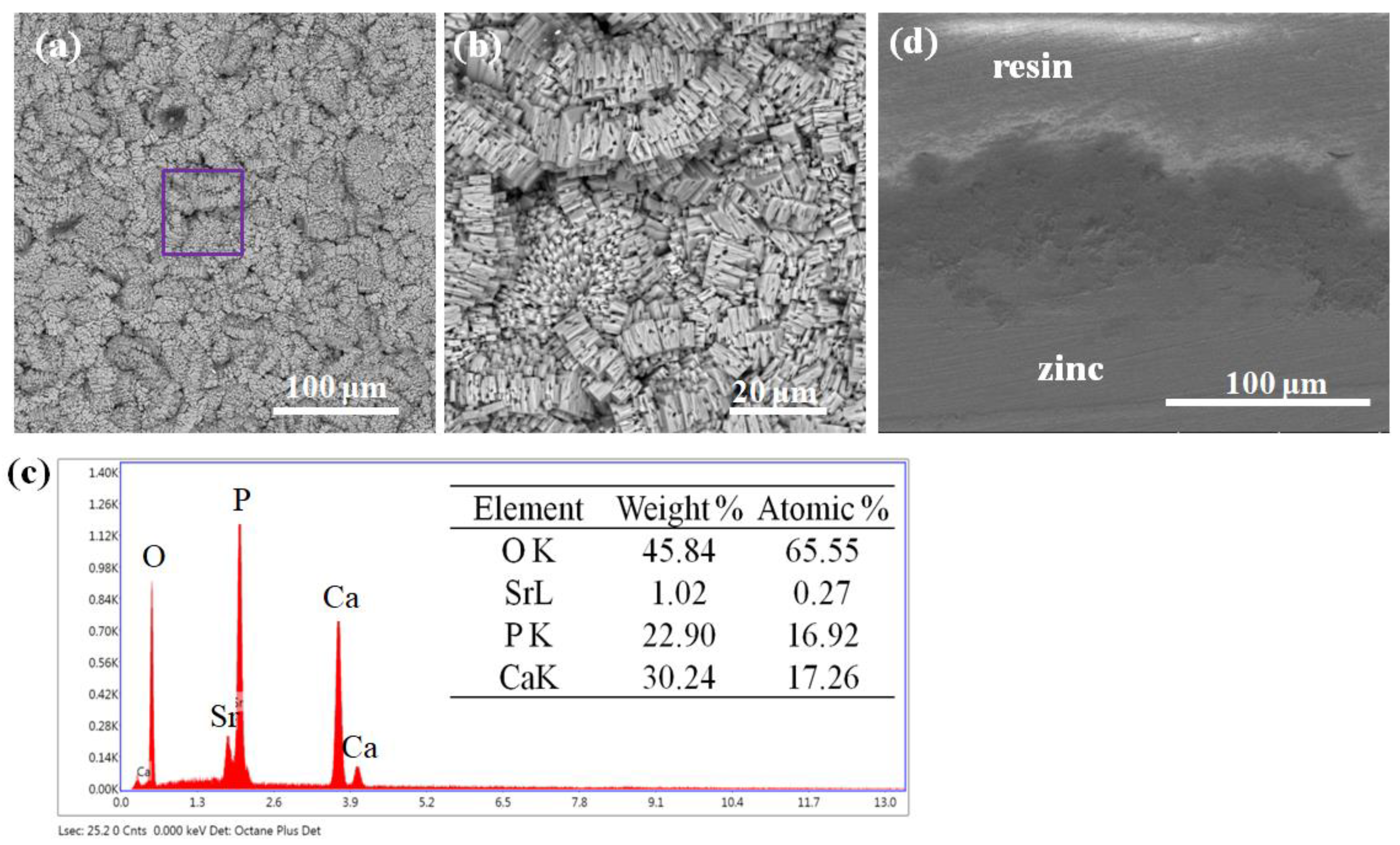 Coatings 12 00043 g002 Coatings 12 00043 g002