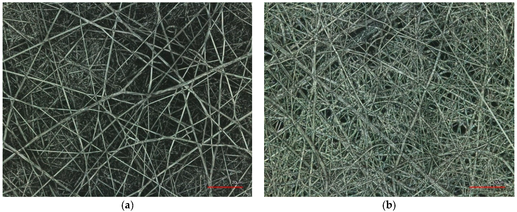 Coatings 12 00048 g009