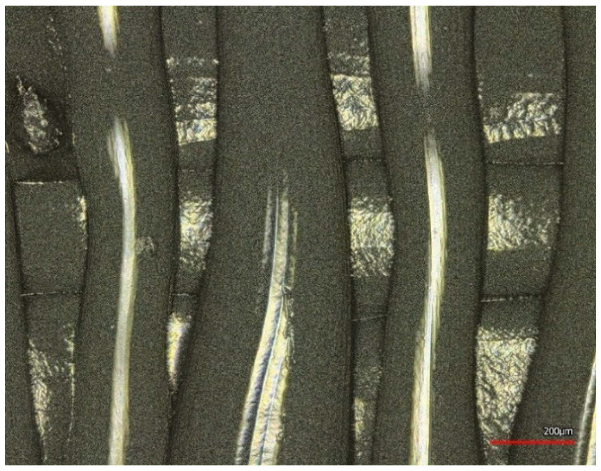 Coatings 12 00048 g010