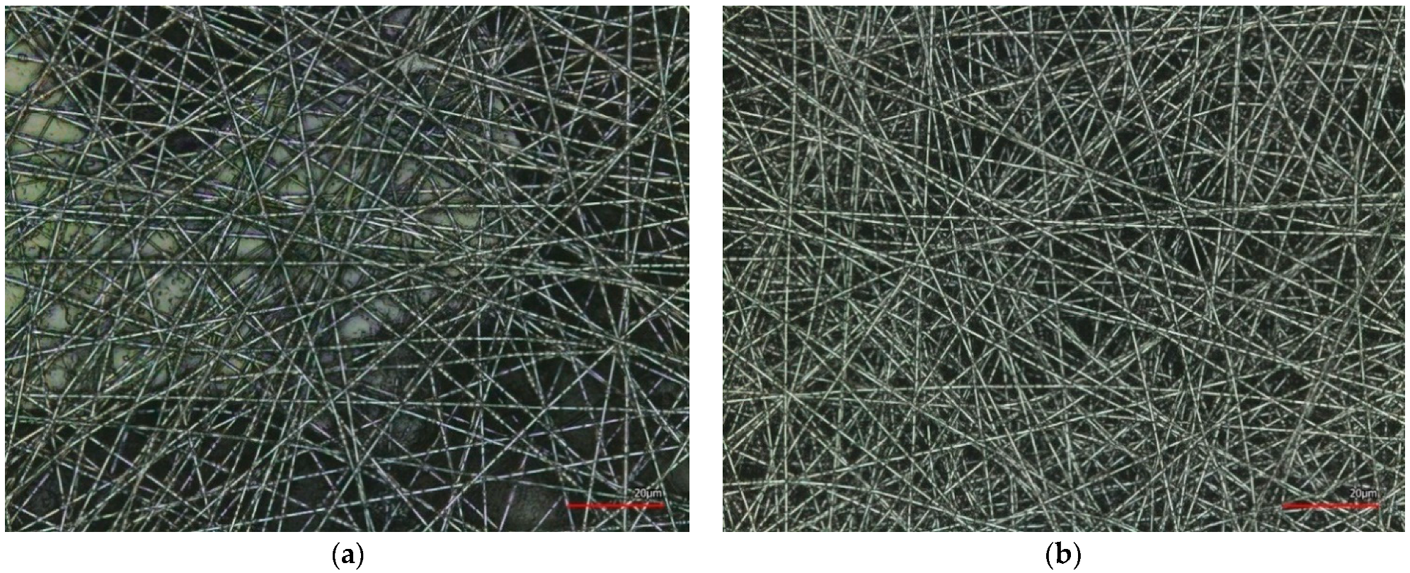 Coatings 12 00048 g013