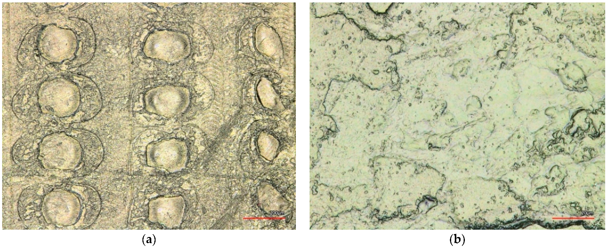 Coatings 12 00048 g014