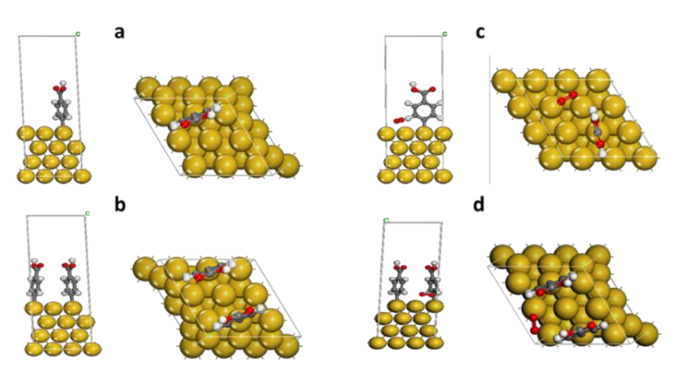Coatings 12 00049 g006