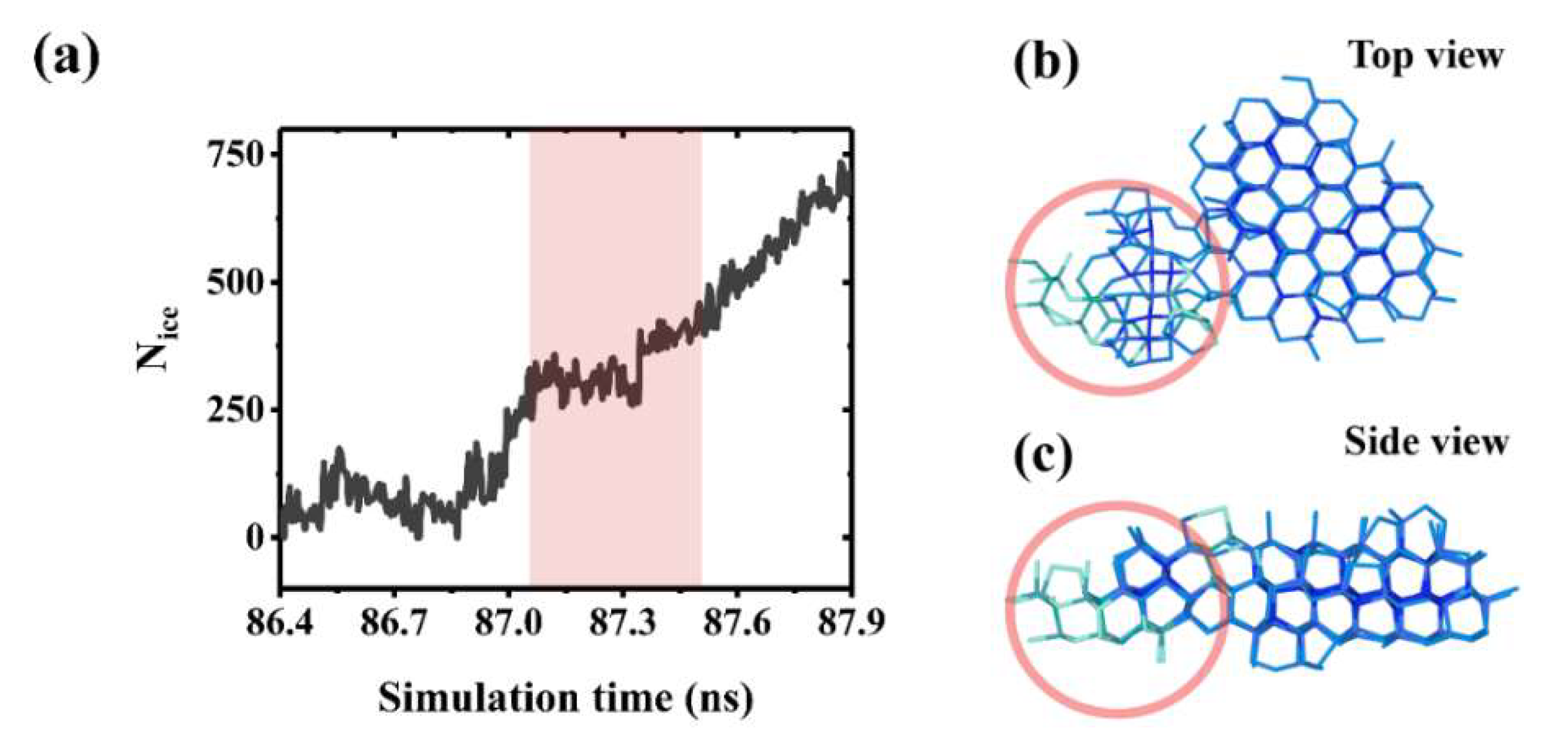 Coatings 12 00052 g006