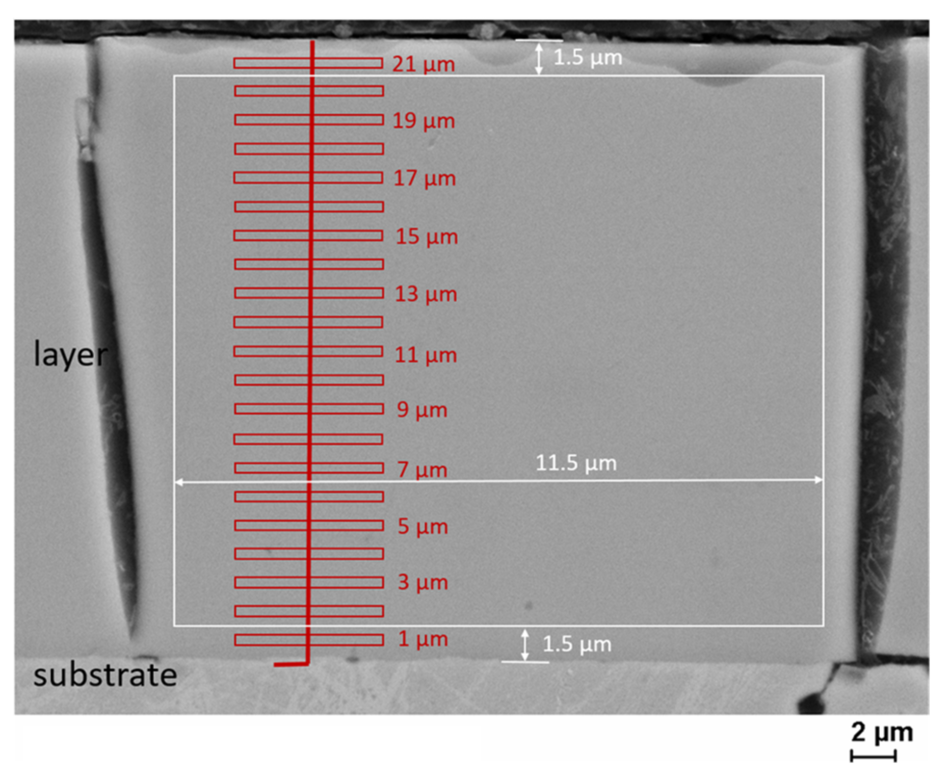 Coatings 12 00056 g001