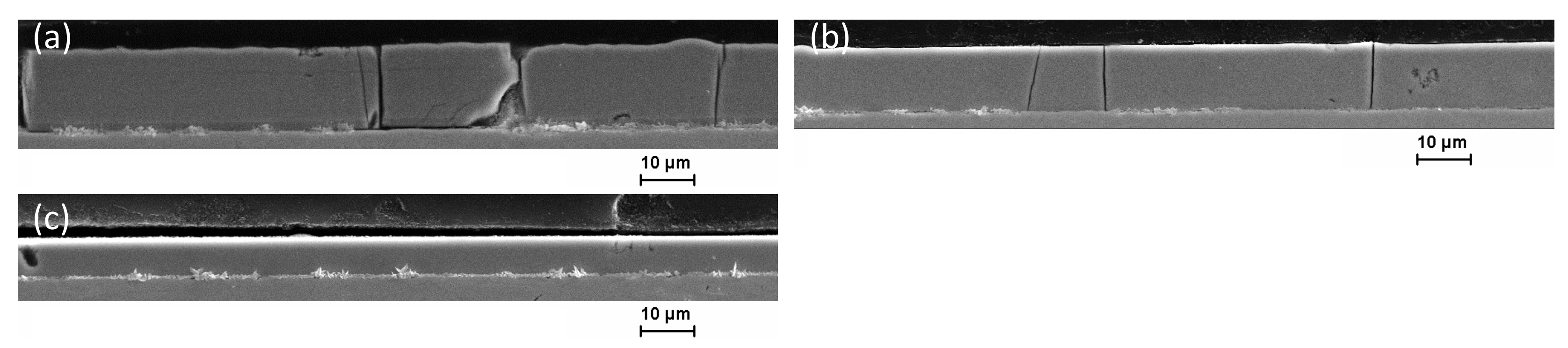 Coatings 12 00056 g006