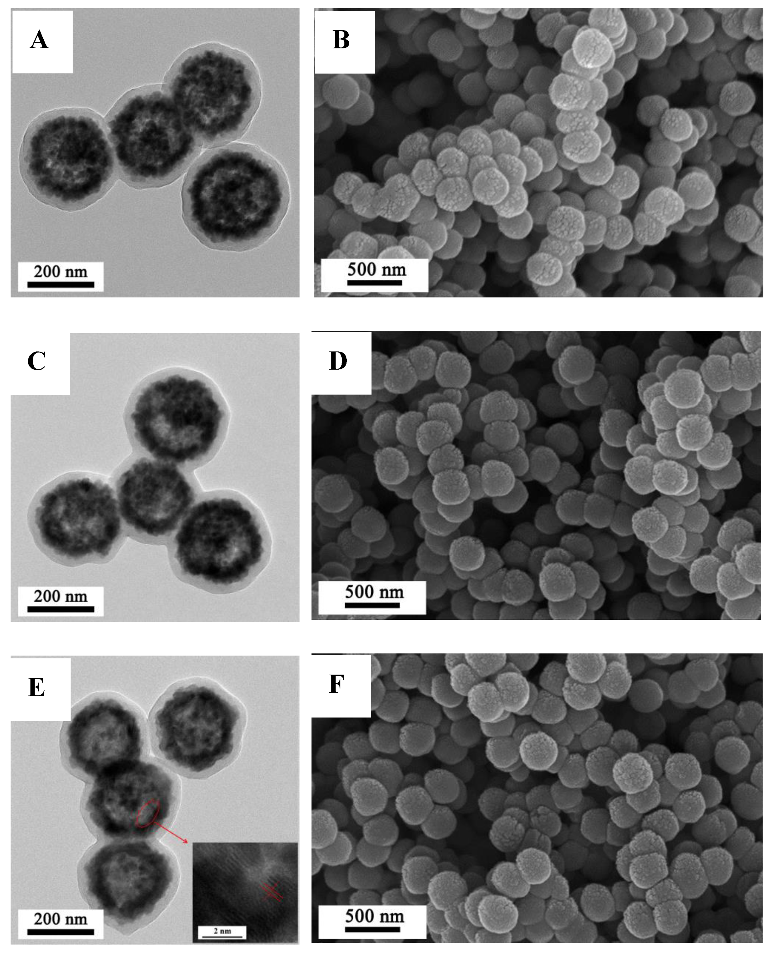 Coatings 12 00062 g002