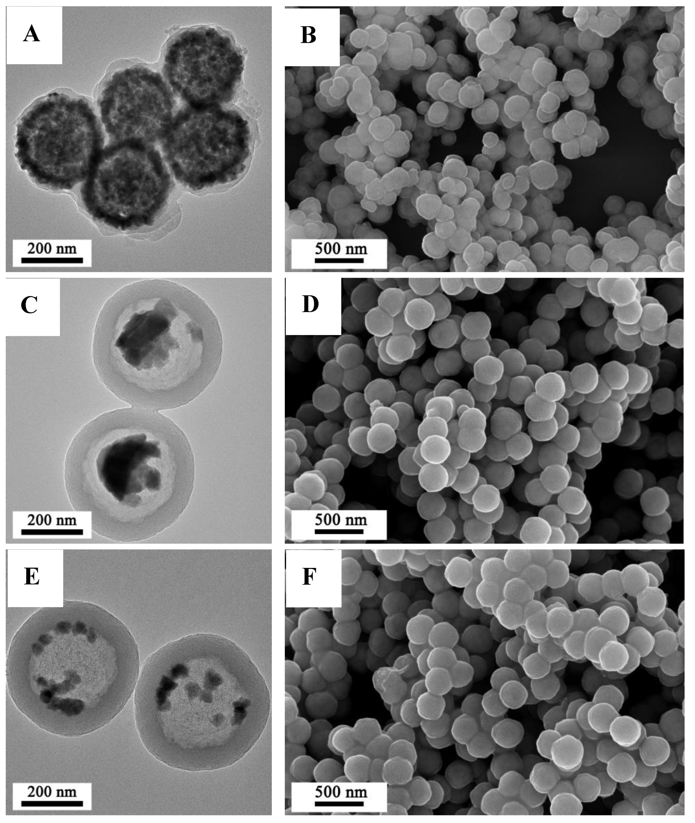Coatings 12 00062 g004