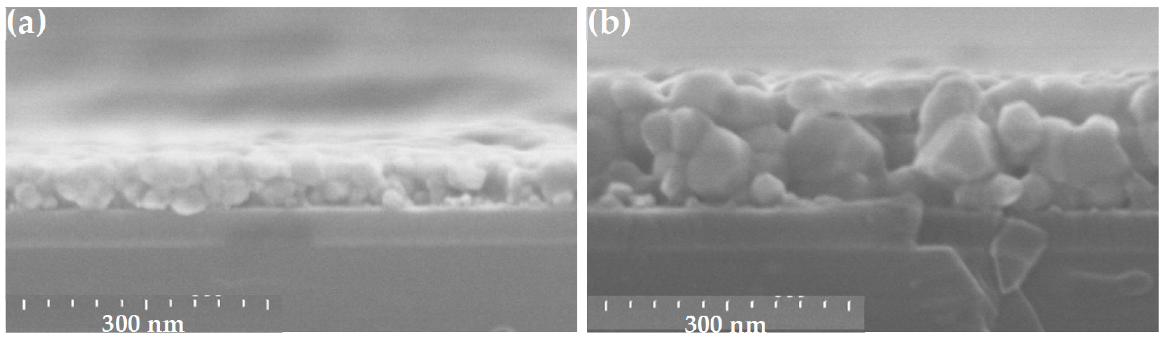 Coatings 12 00065 g003 Coatings 12 00065 g003