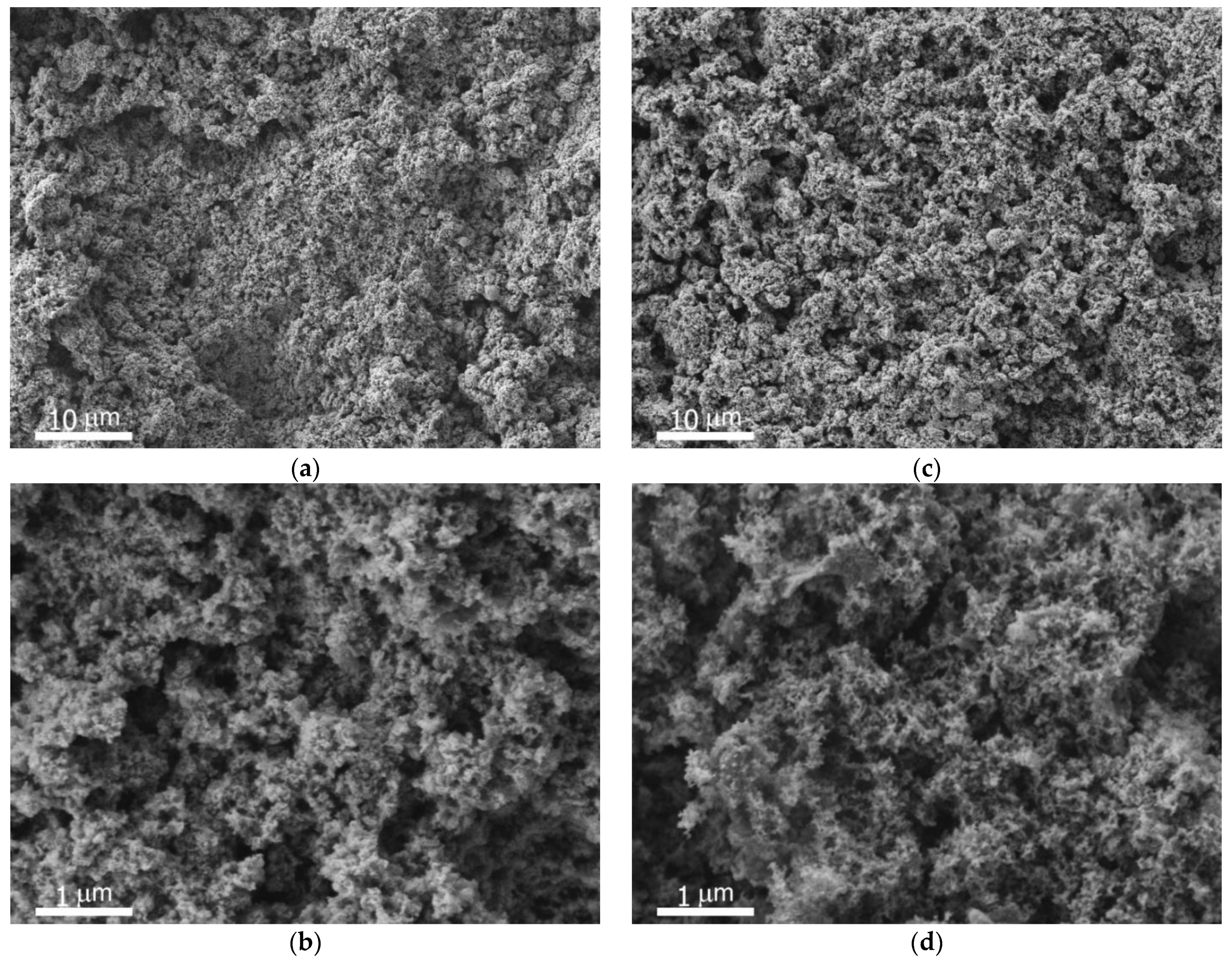 Coatings 12 00074 g001