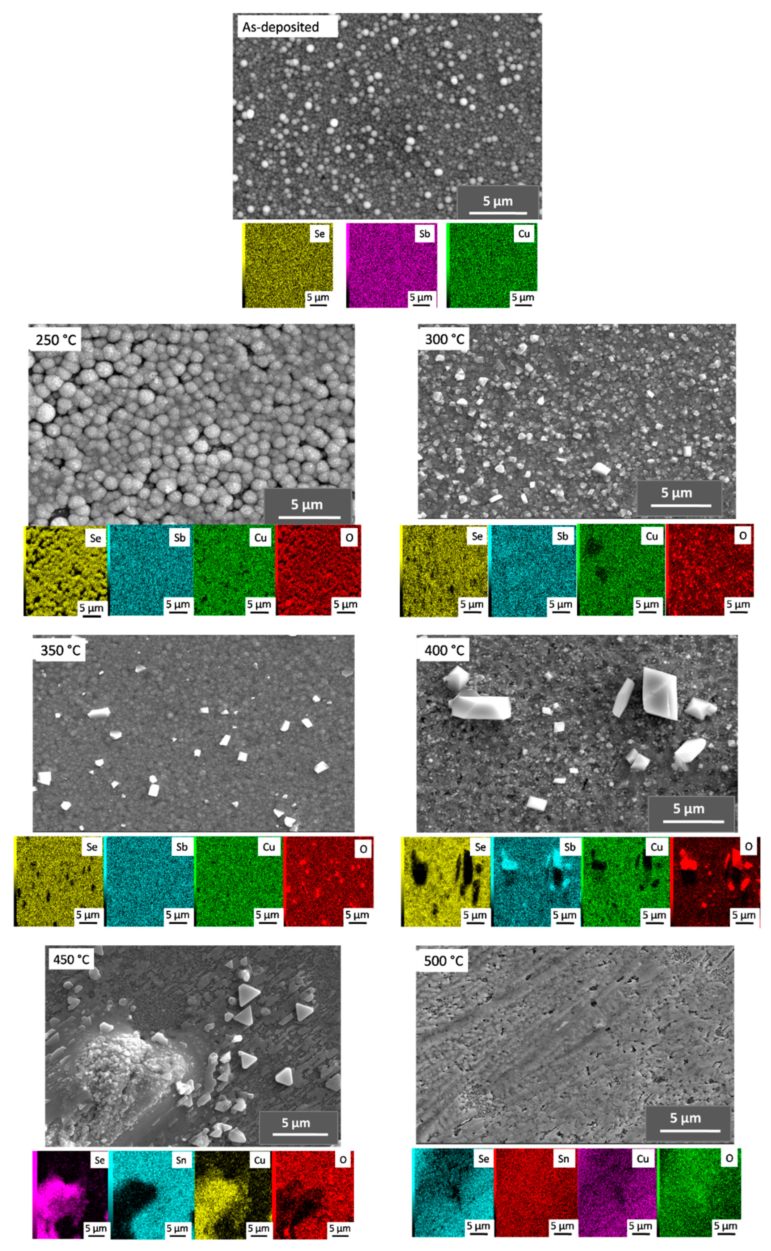 Coatings 12 00075 g003