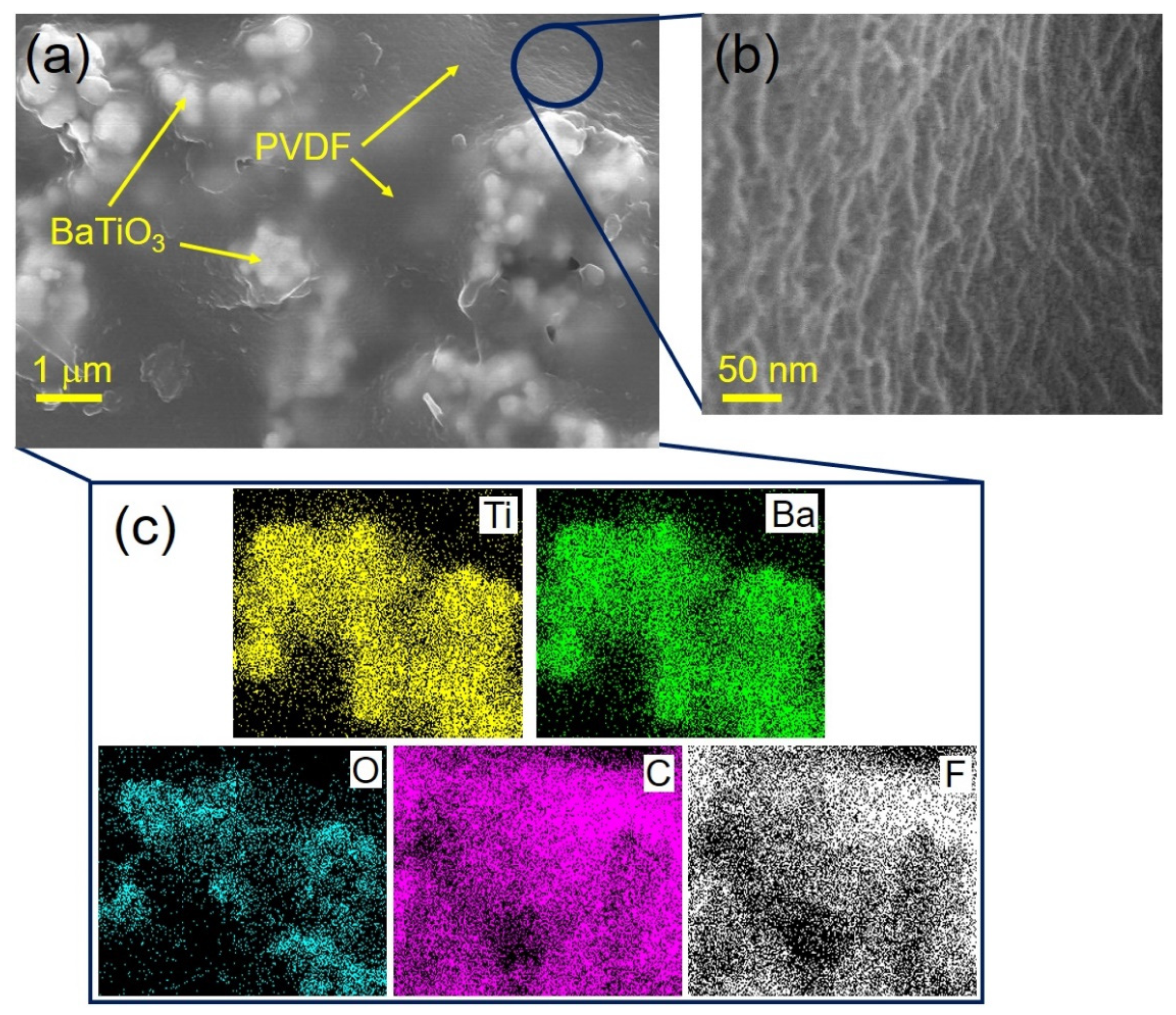 Coatings 12 00077 g002