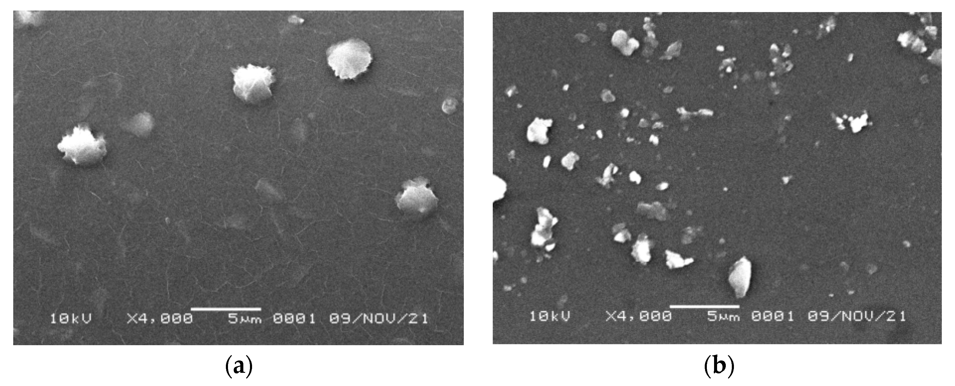 Coatings 12 00088 g003 Coatings 12 00088 g003