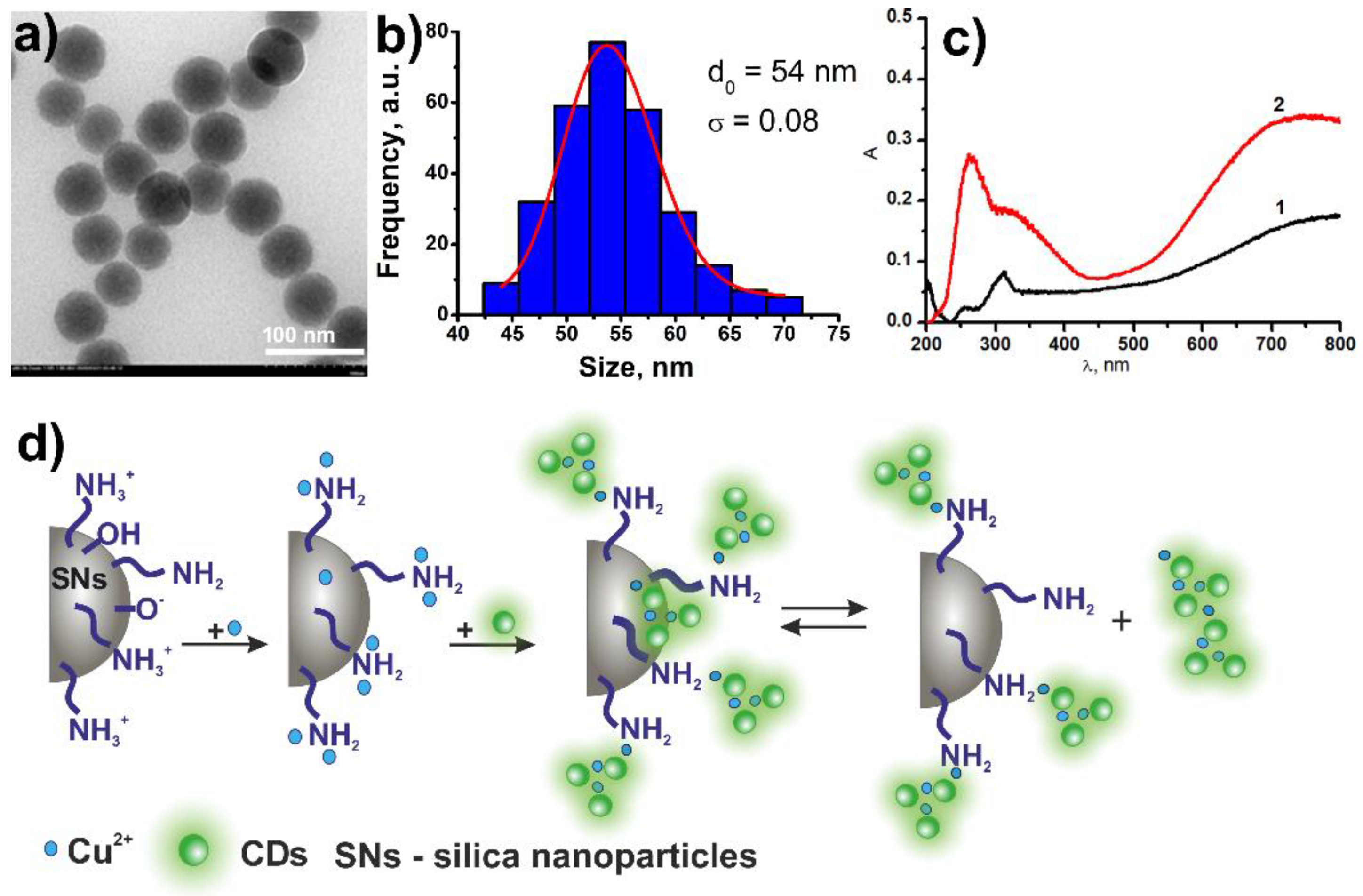 Coatings 12 00097 g001