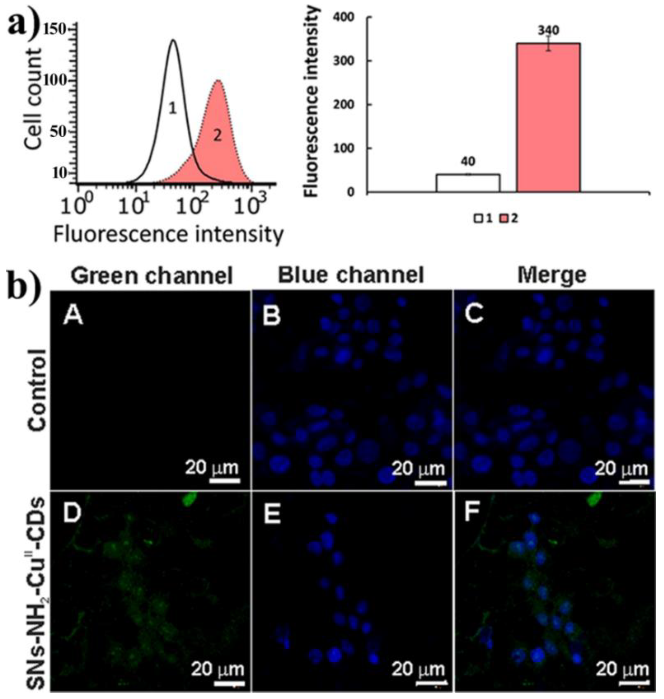 Coatings 12 00097 g005
