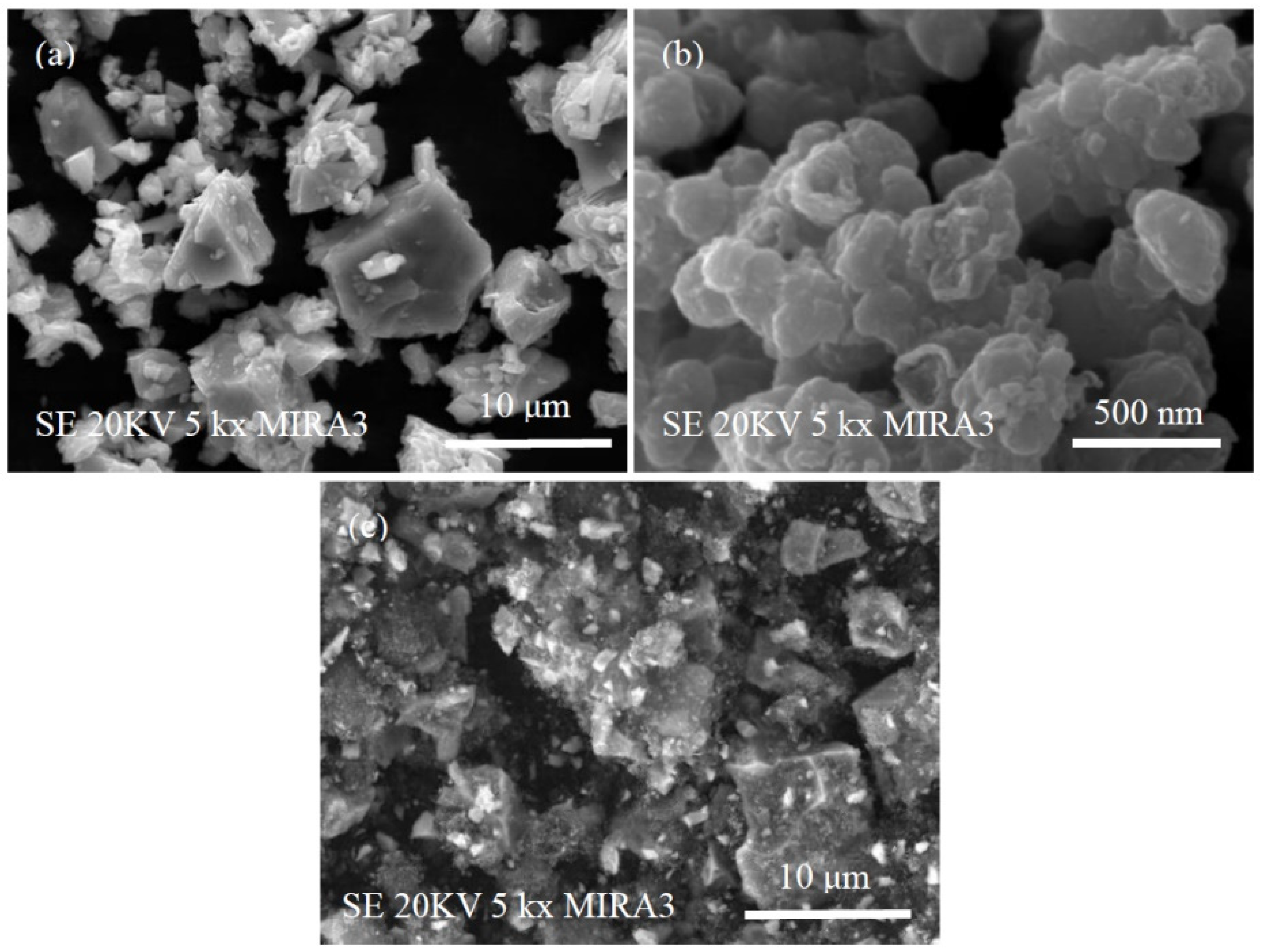 Coatings 12 00099 g001