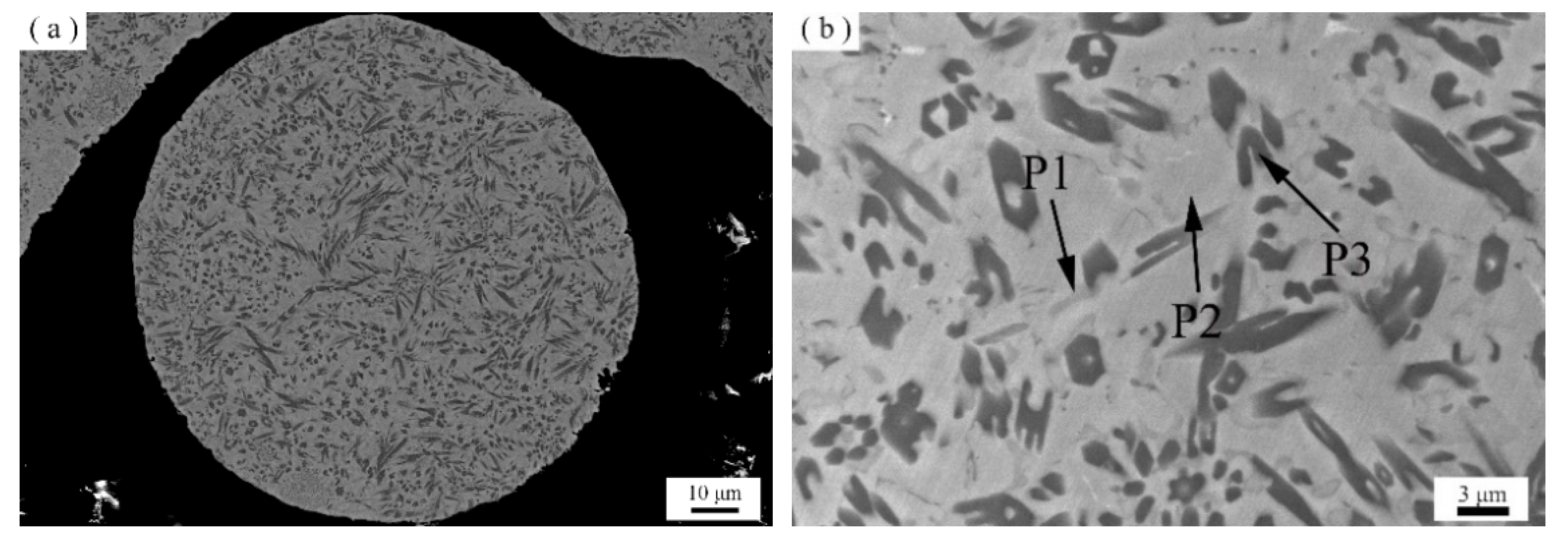 Coatings 12 00105 g004