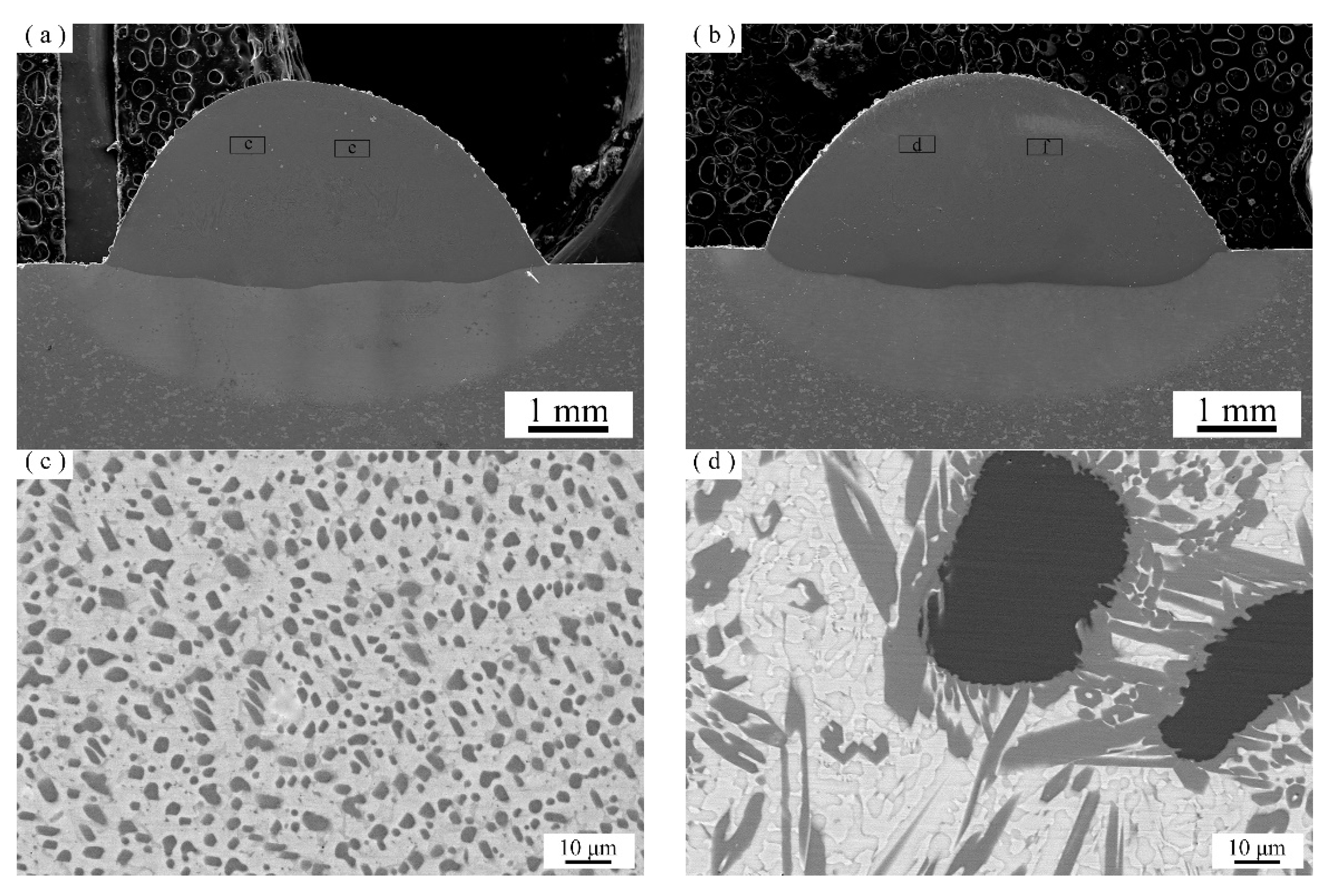 Coatings 12 00105 g006a