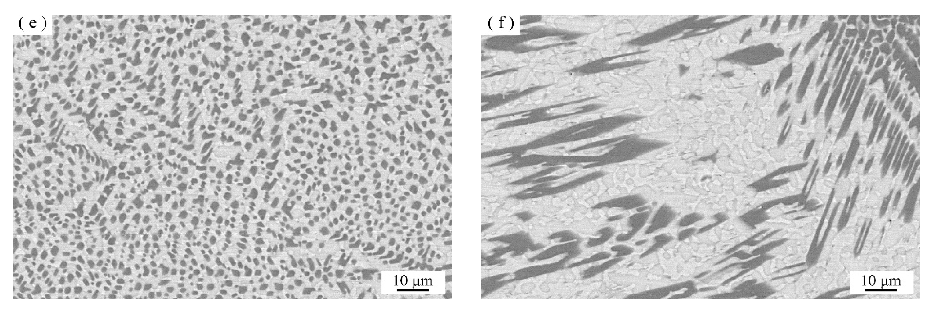 Coatings 12 00105 g006b