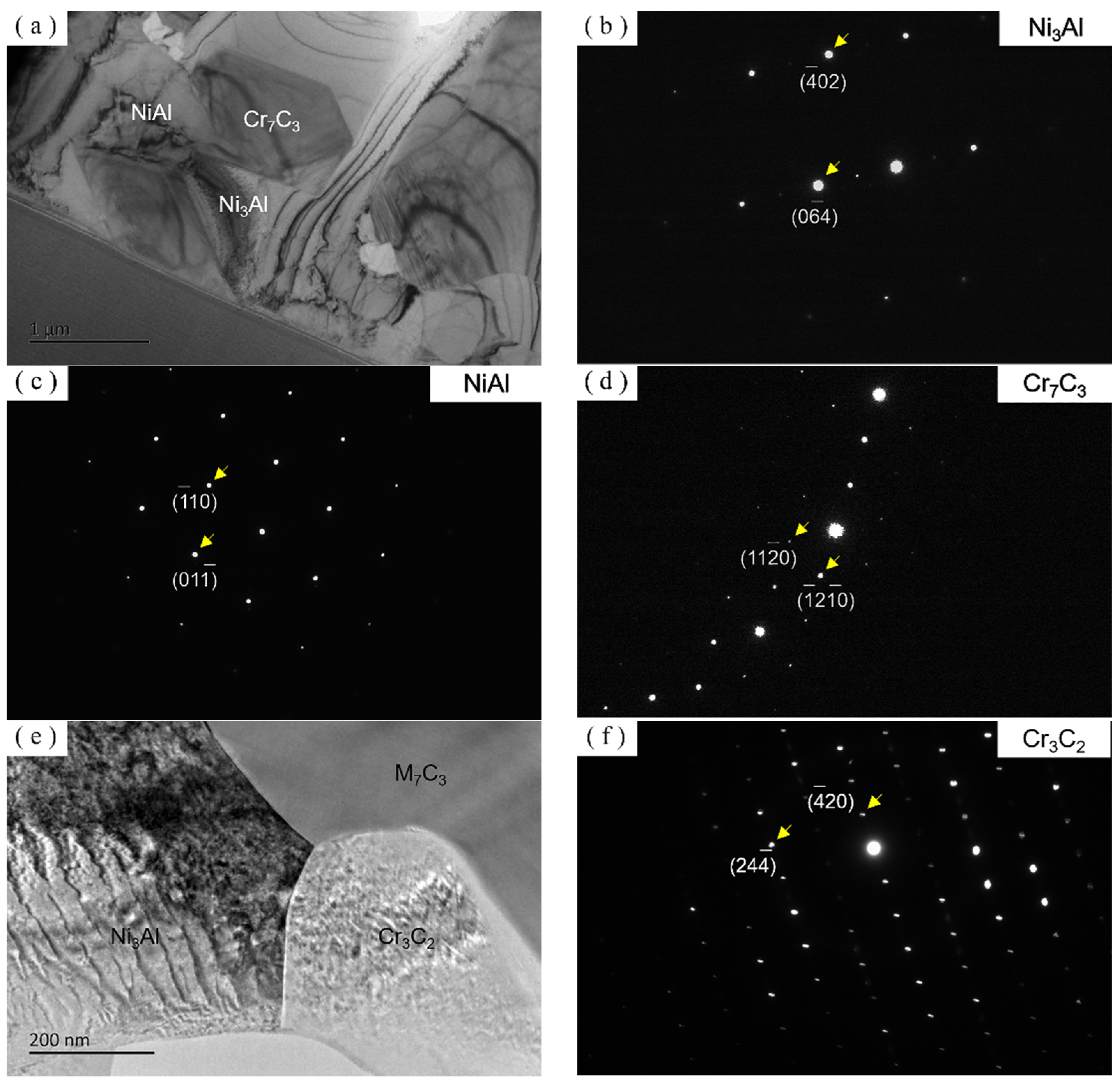 Coatings 12 00105 g010