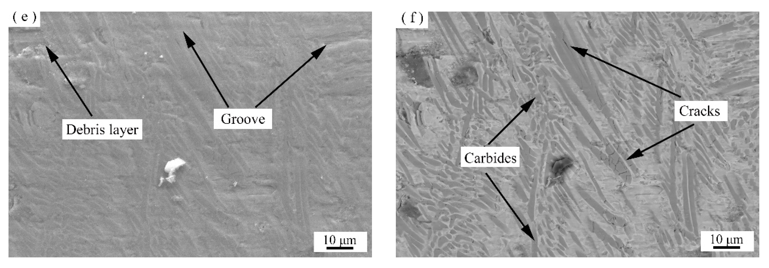 Coatings 12 00105 g014b
