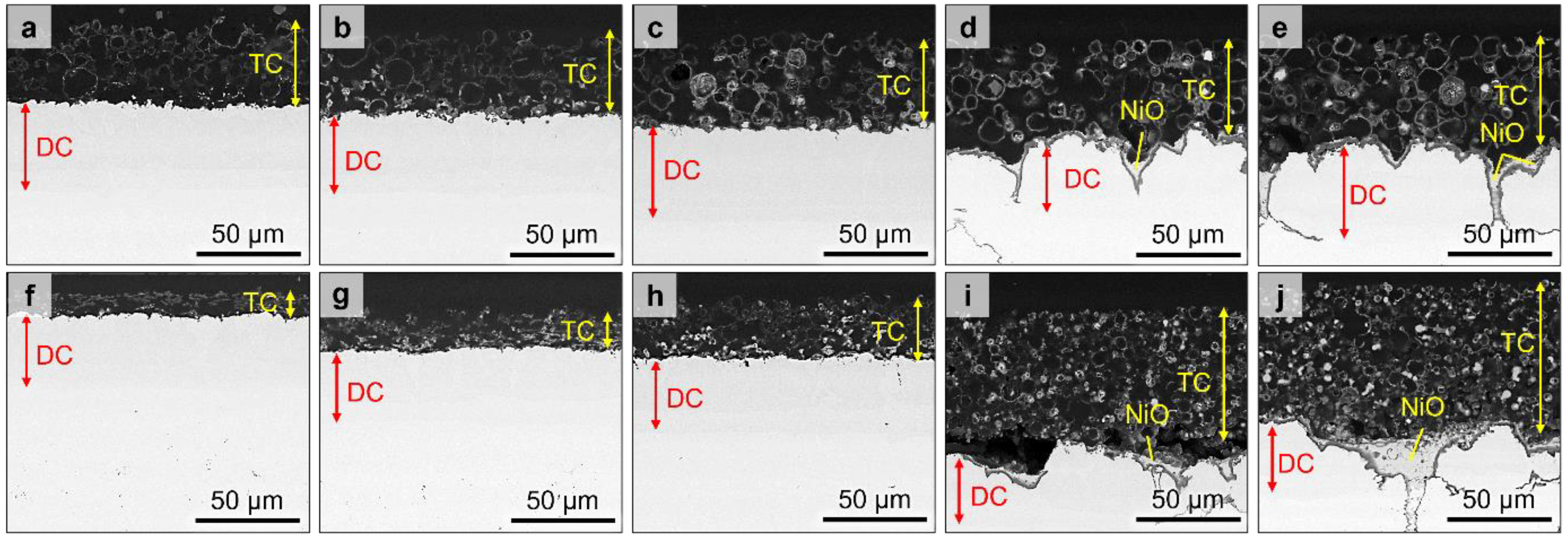 Coatings 12 00106 g002