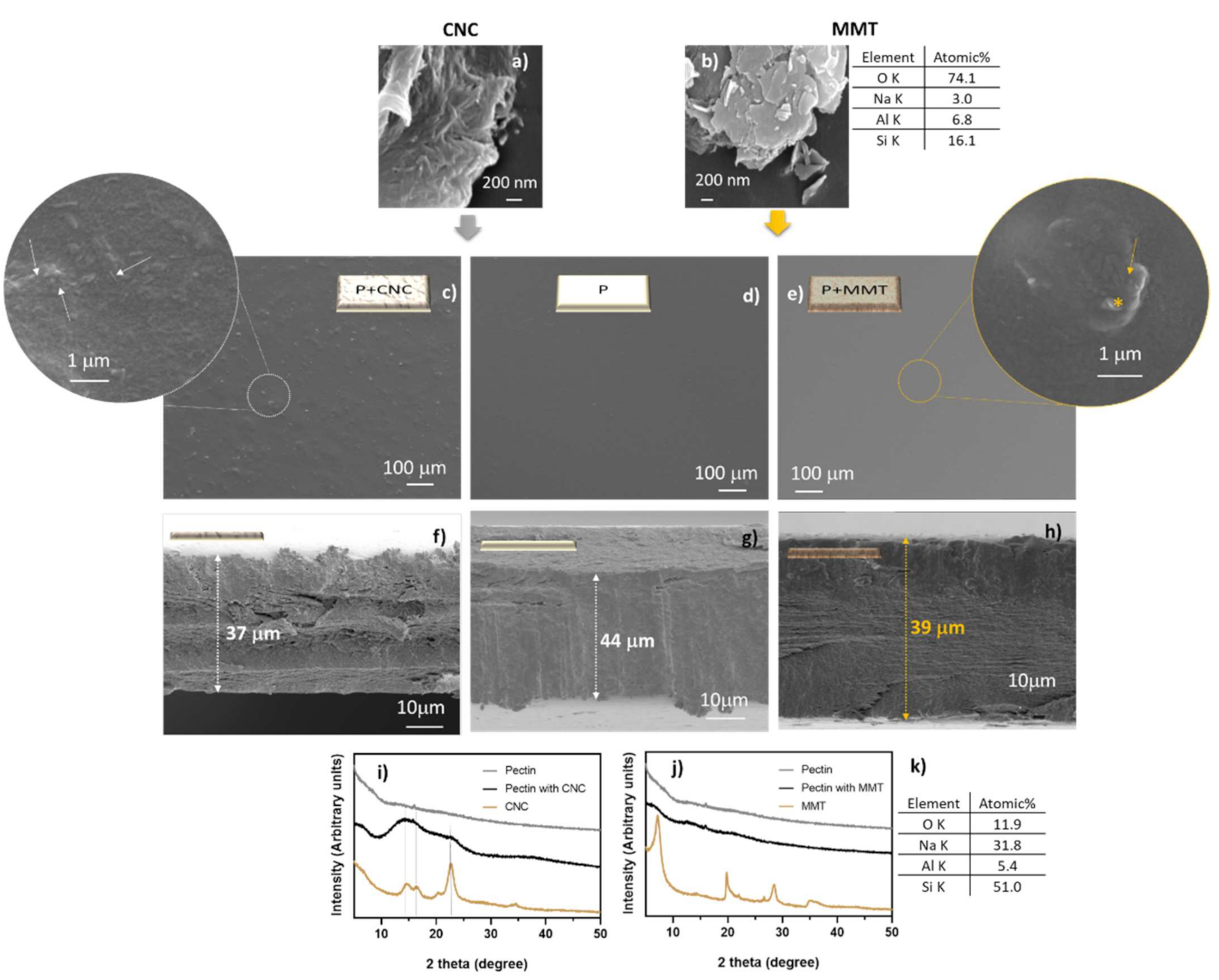 Coatings 12 00108 g003