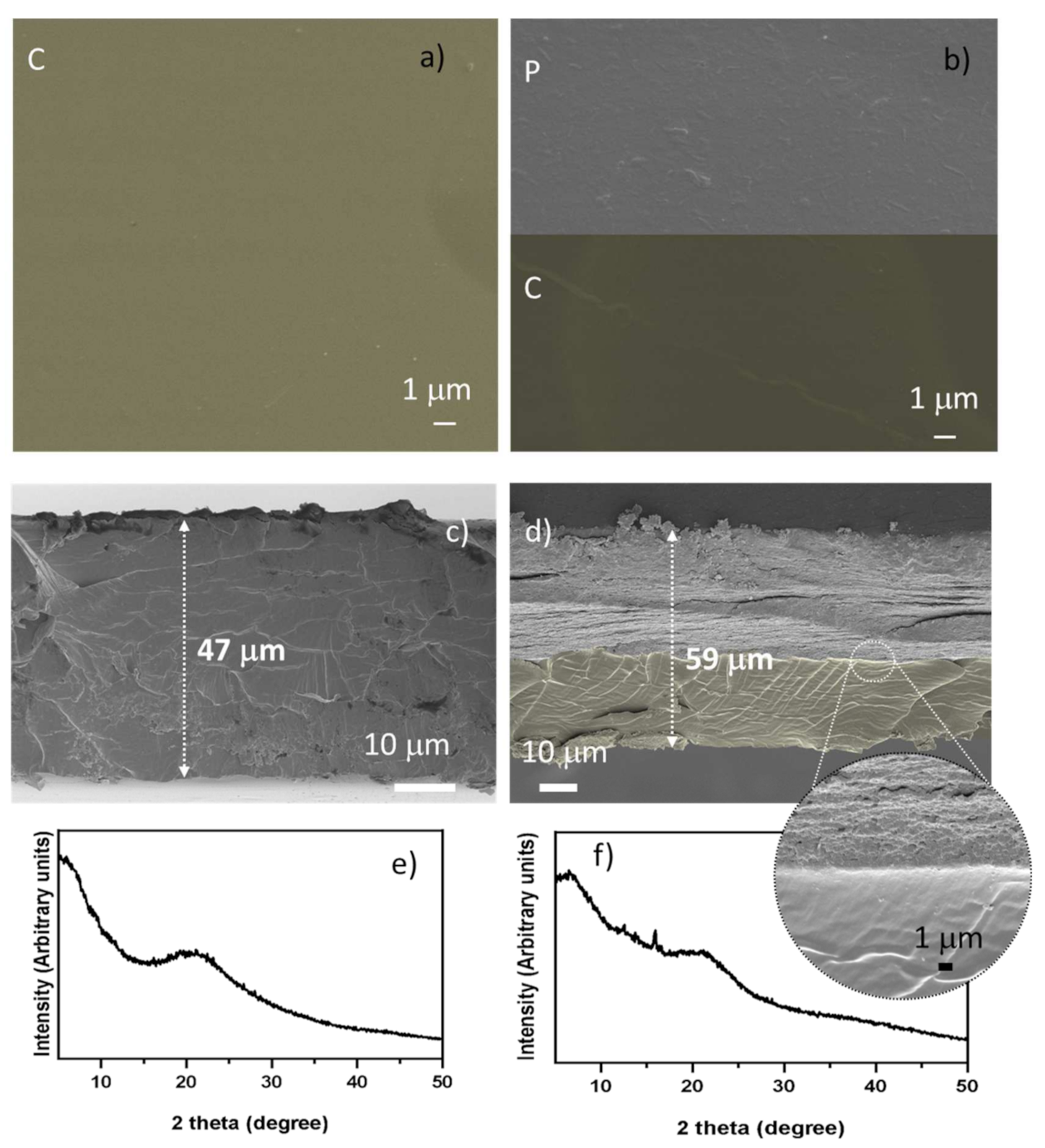 Coatings 12 00108 g004
