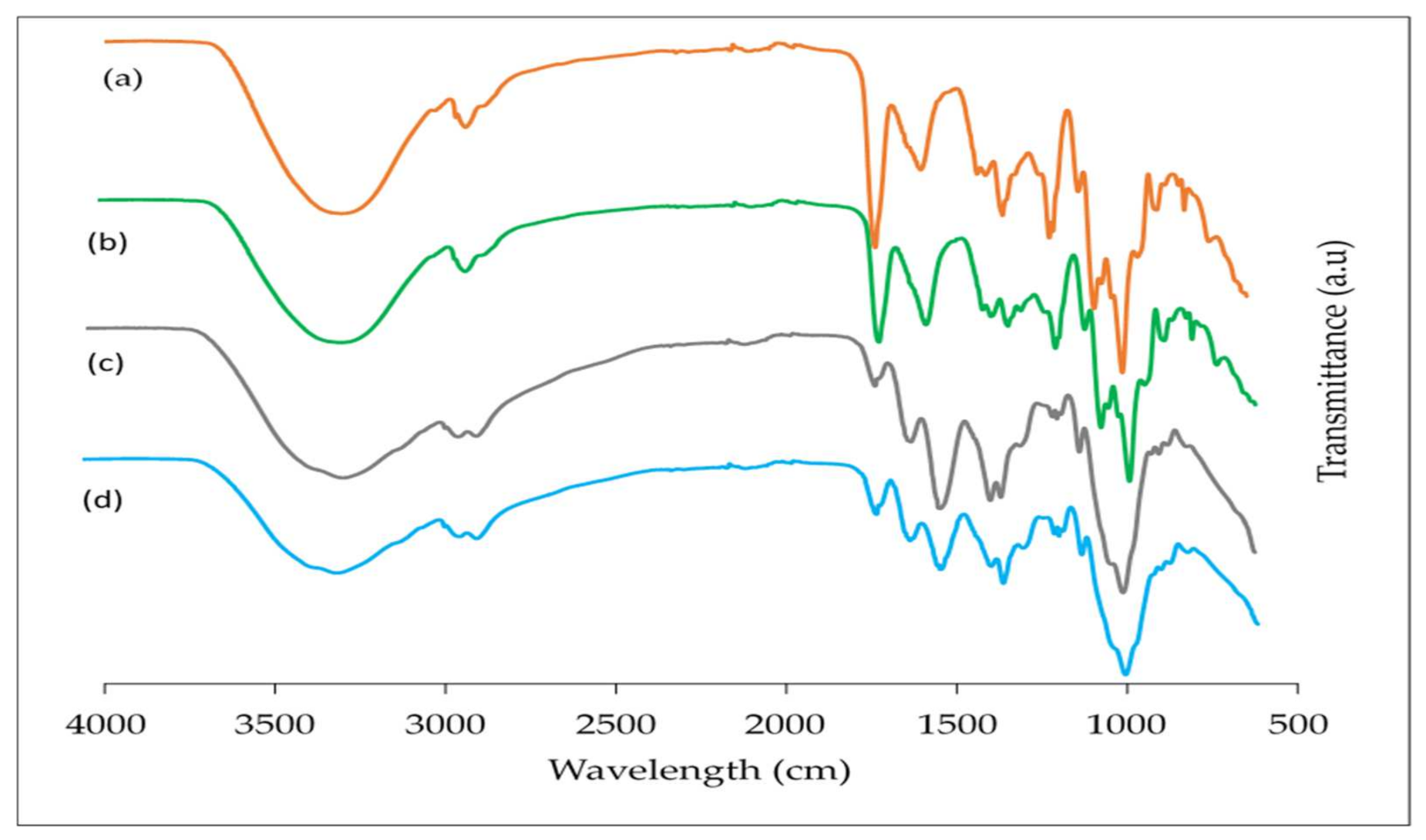 Coatings 12 00108 g006