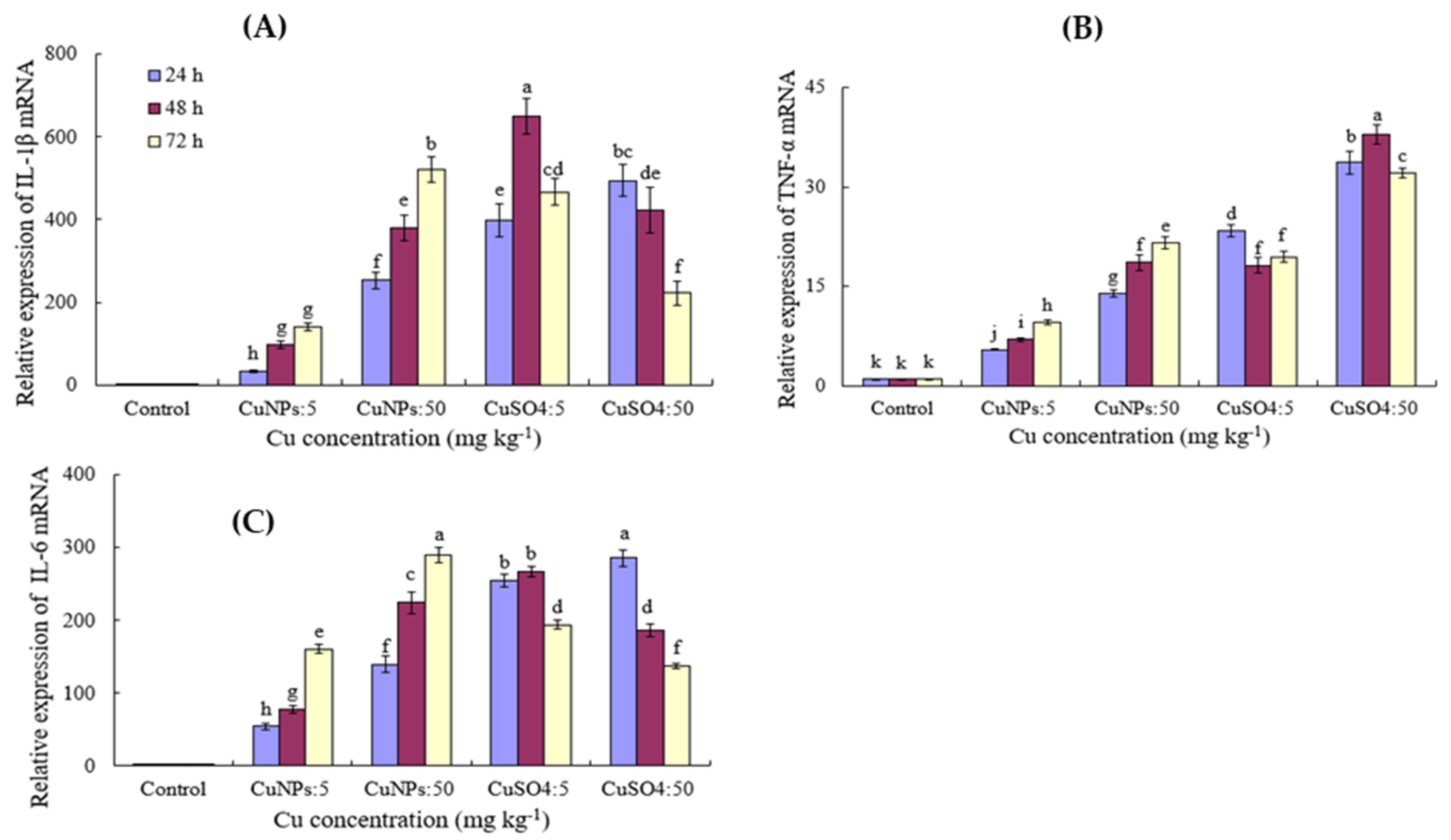 Coatings 12 00110 g004