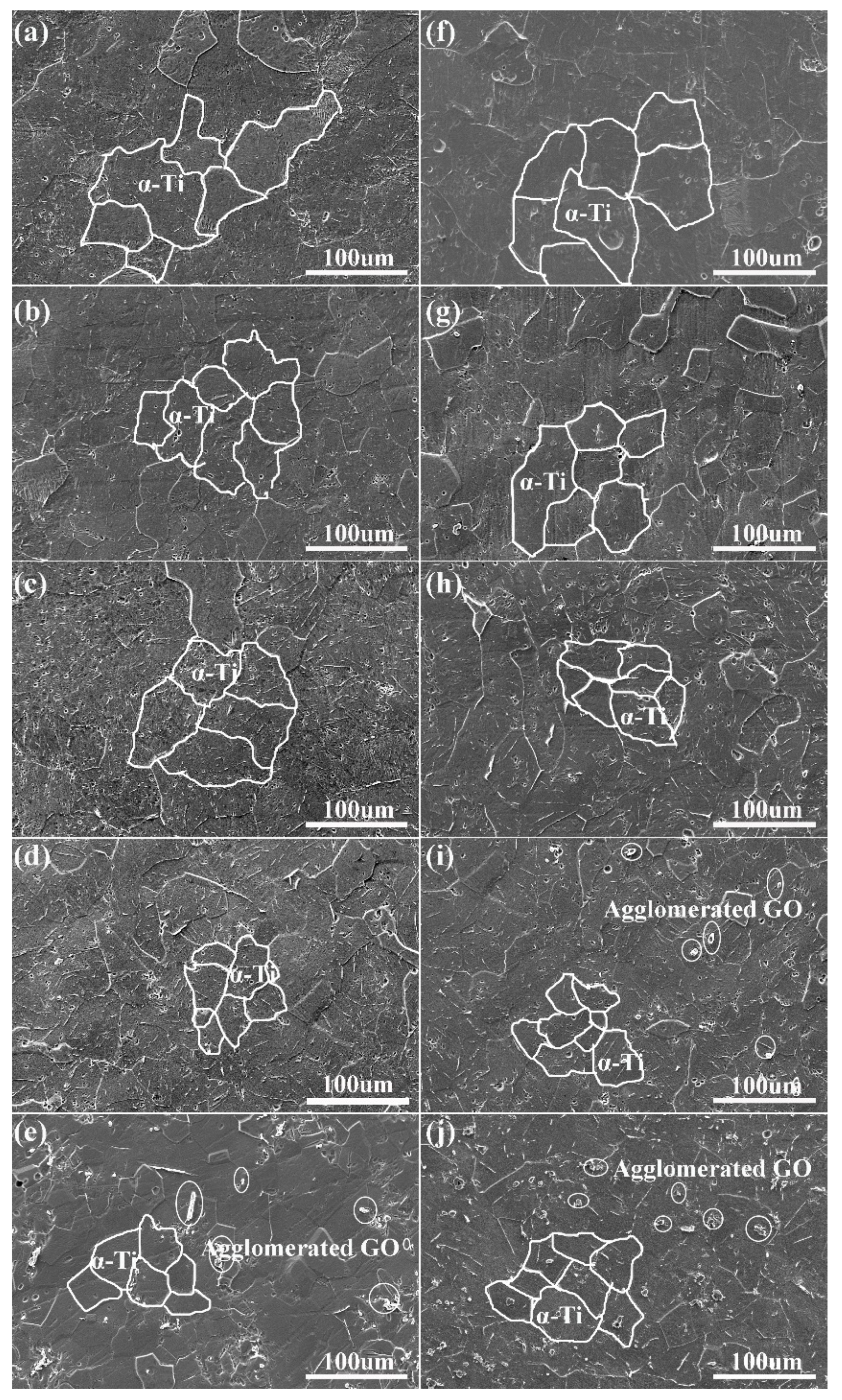 Coatings 12 00120 g002