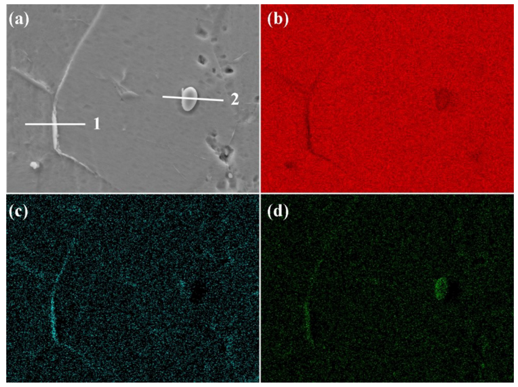 Coatings 12 00120 g003