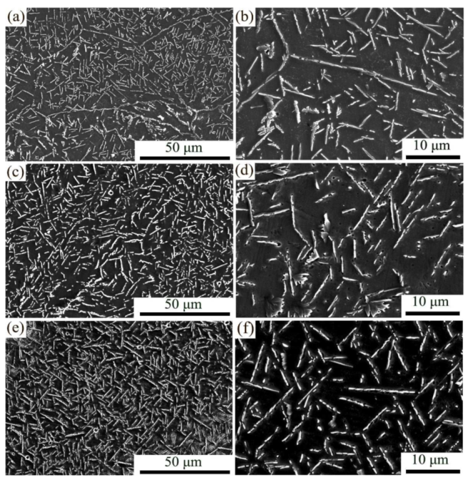 Coatings 12 00121 g003 Coatings 12 00121 g003