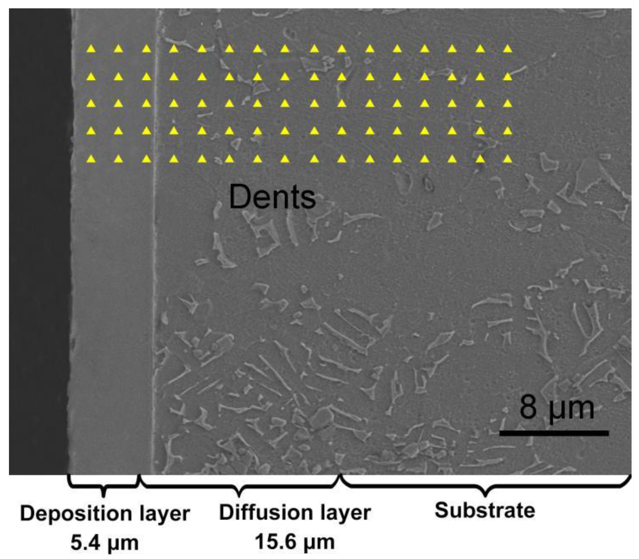 Coatings 12 00123 g006