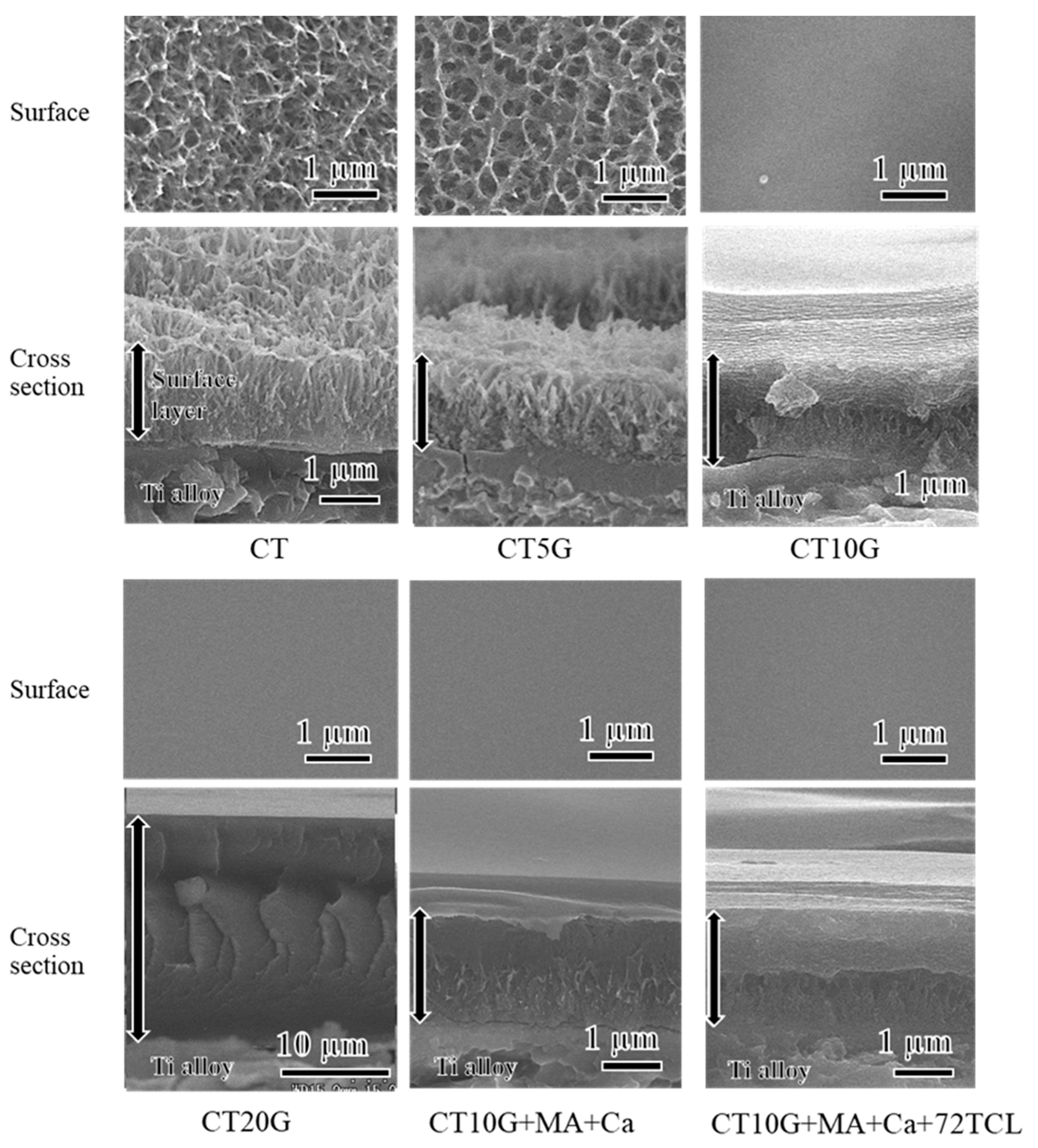 Coatings 12 00139 g002