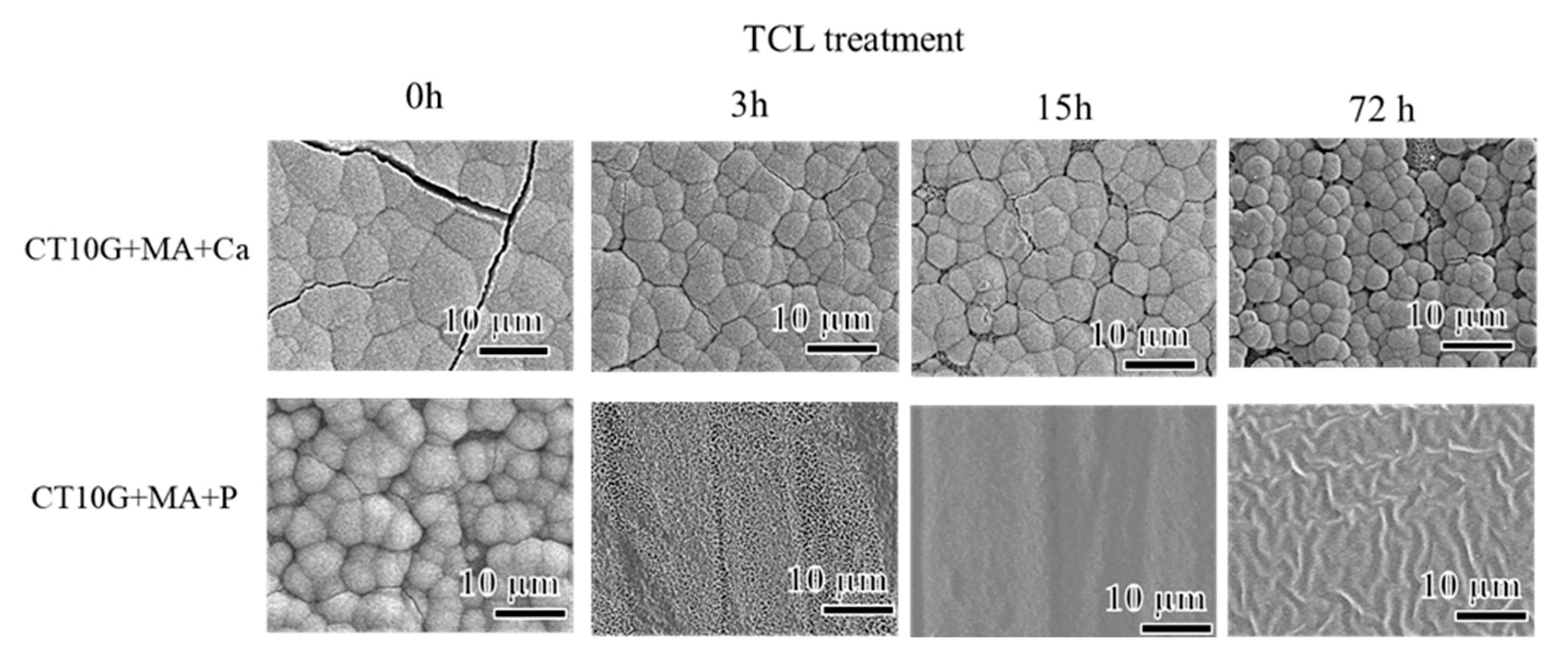 Coatings 12 00139 g006