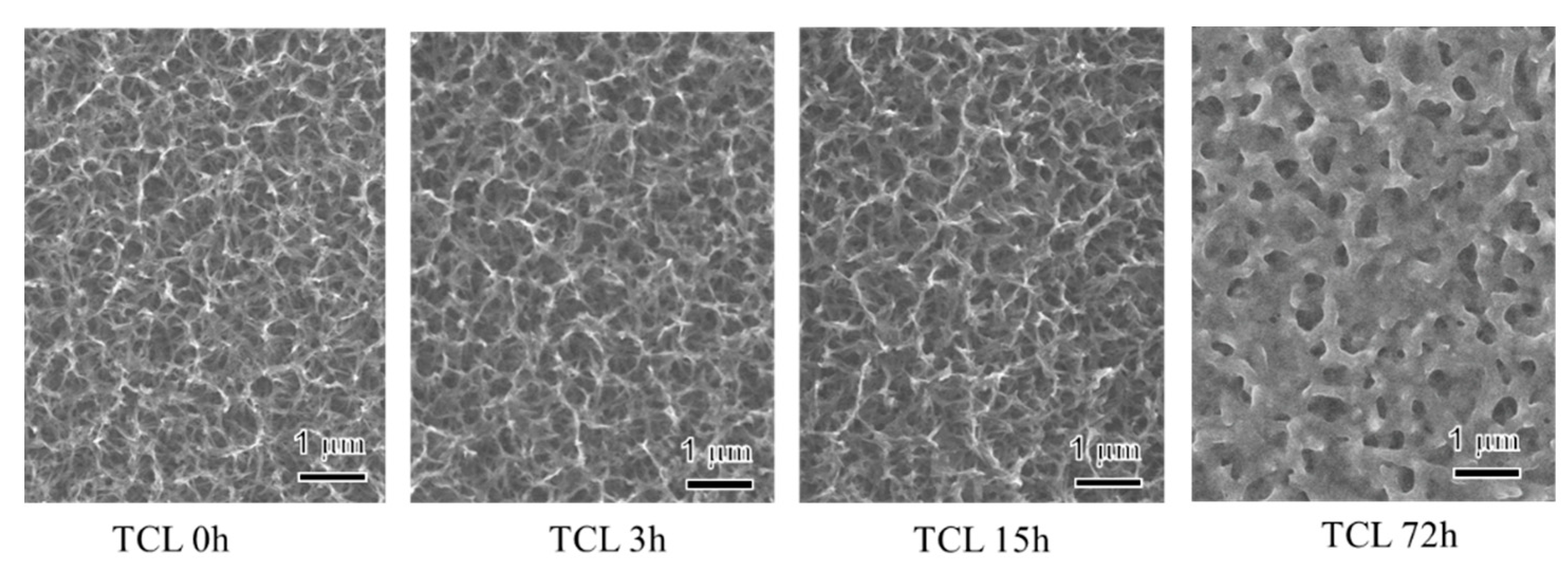 Coatings 12 00139 g008