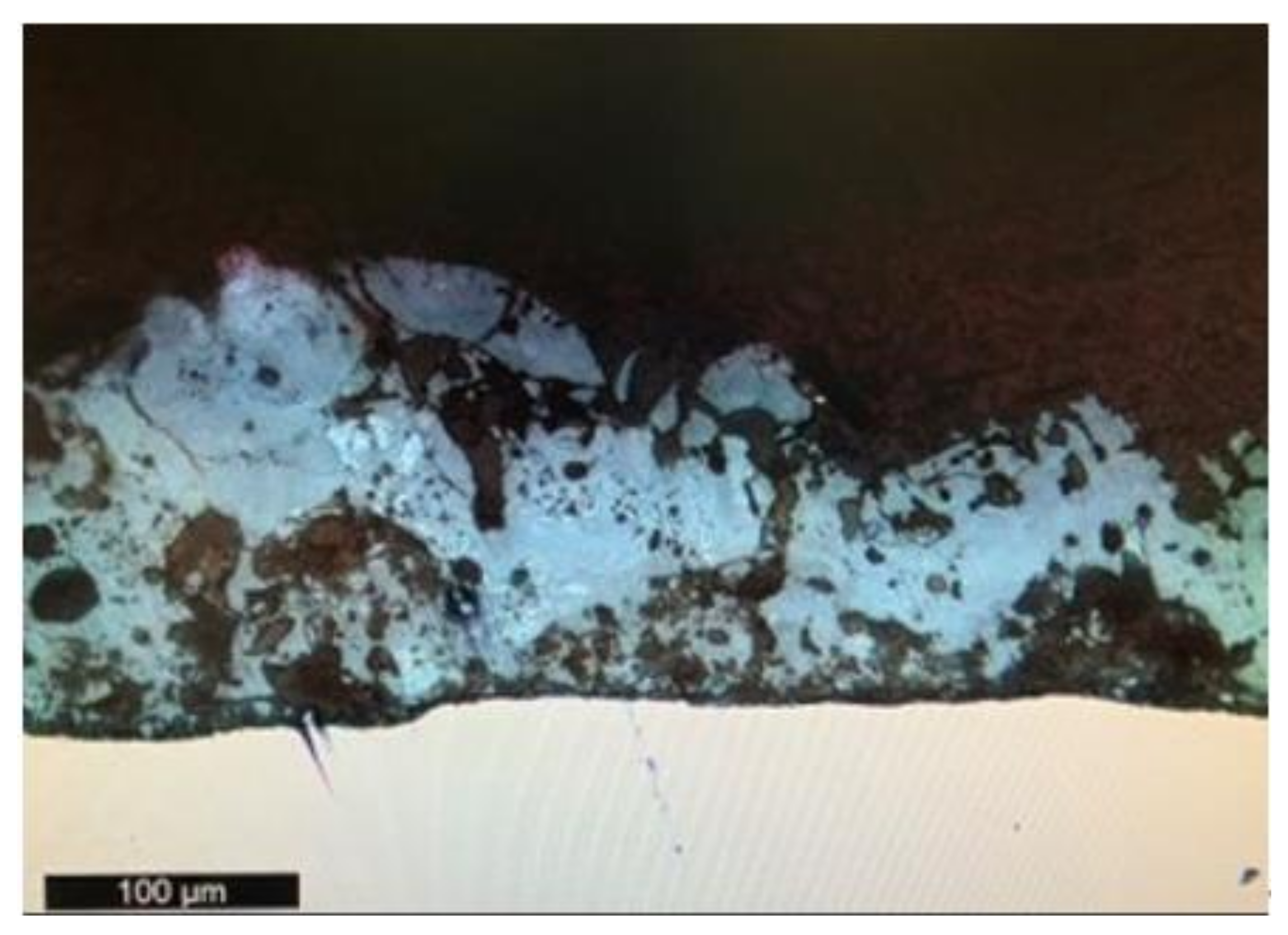 Coatings 12 00143 g001