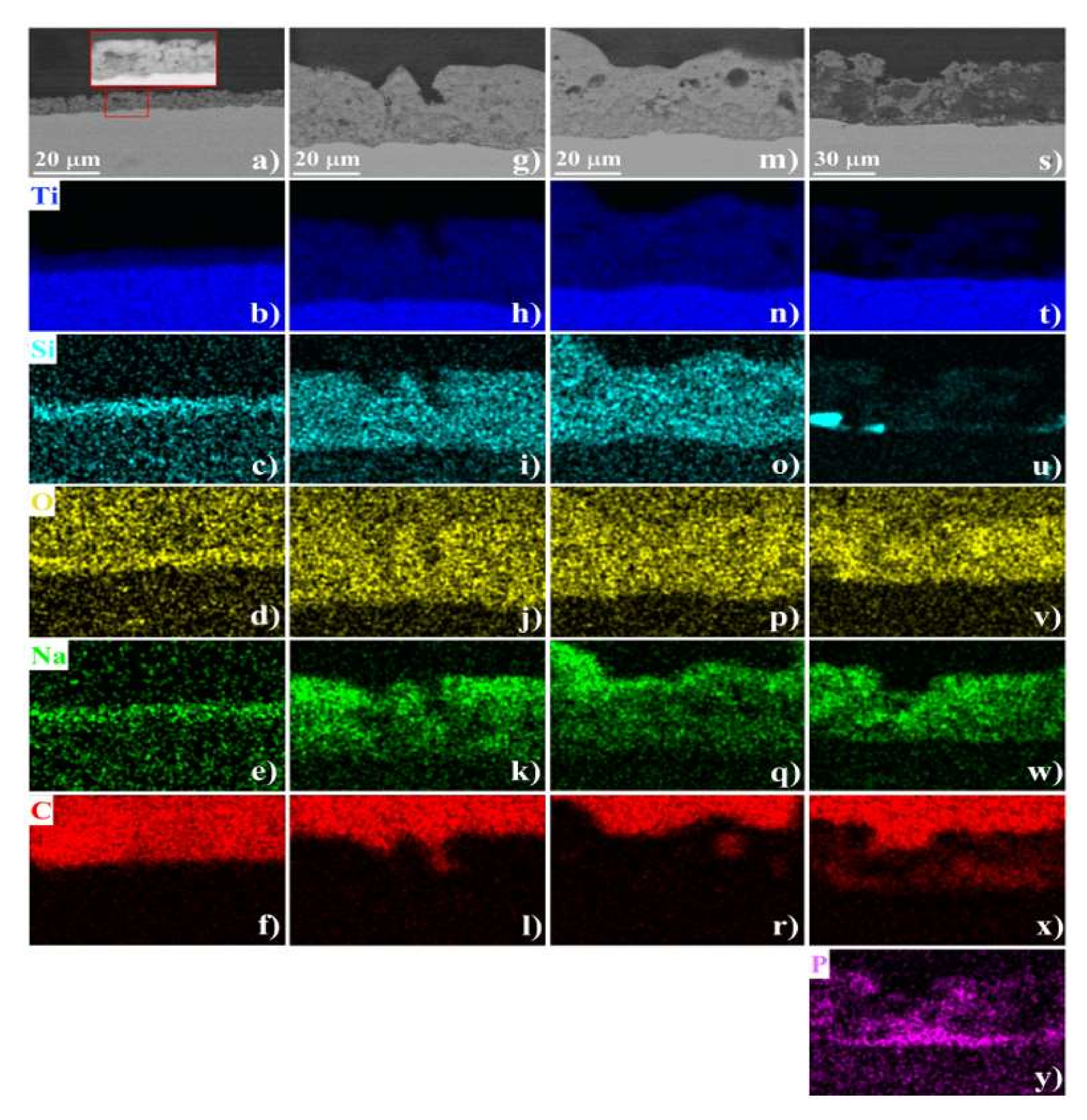 Coatings 12 00143 g005