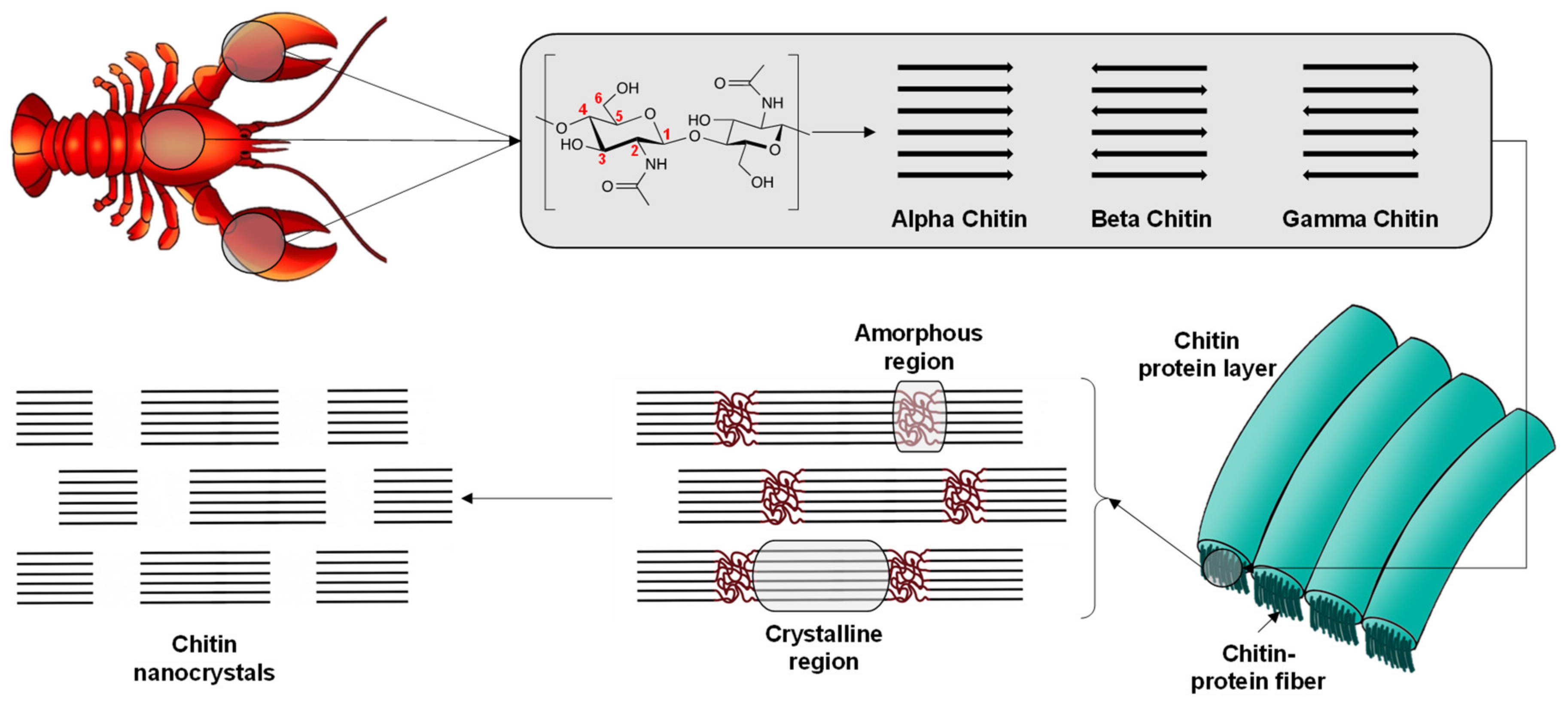 Coatings 12 00144 g001