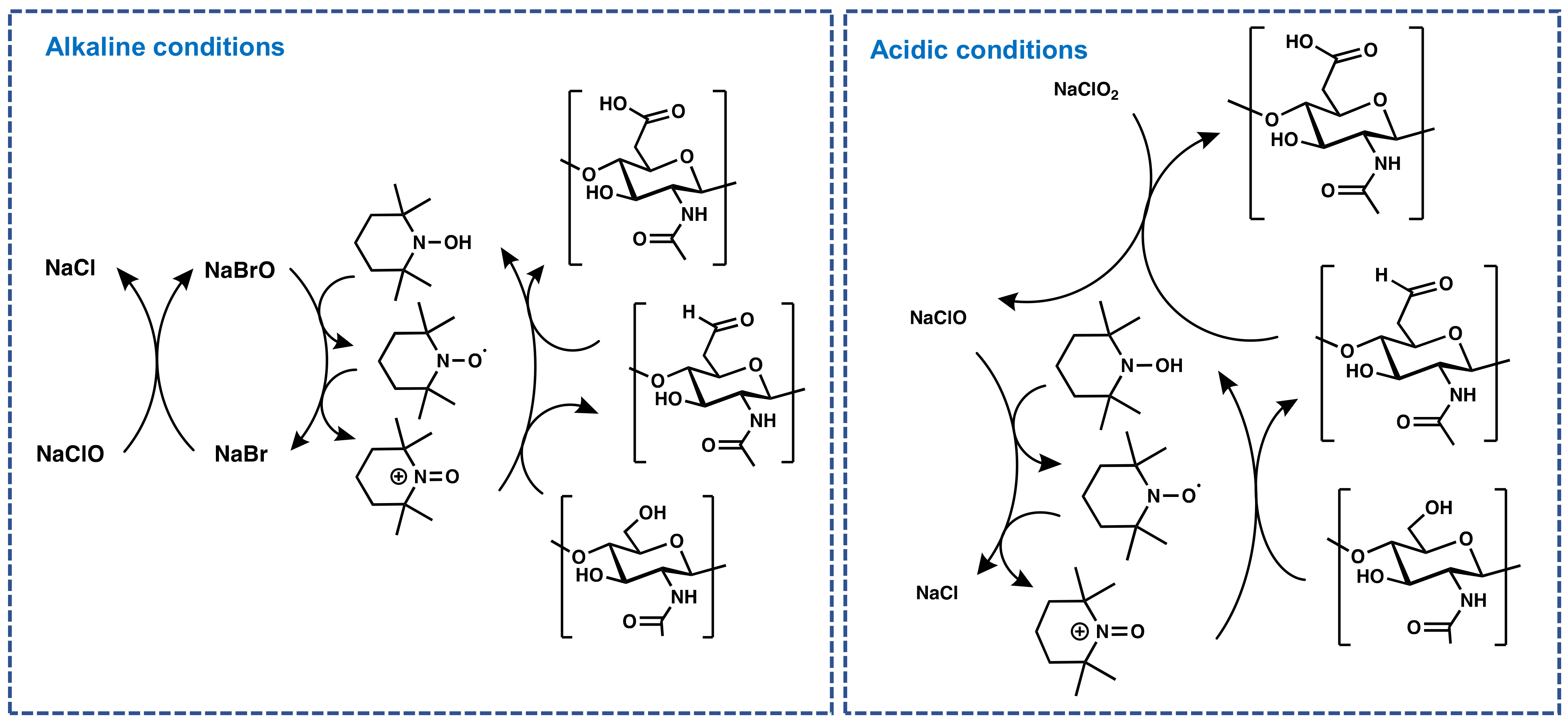 Coatings 12 00144 g003