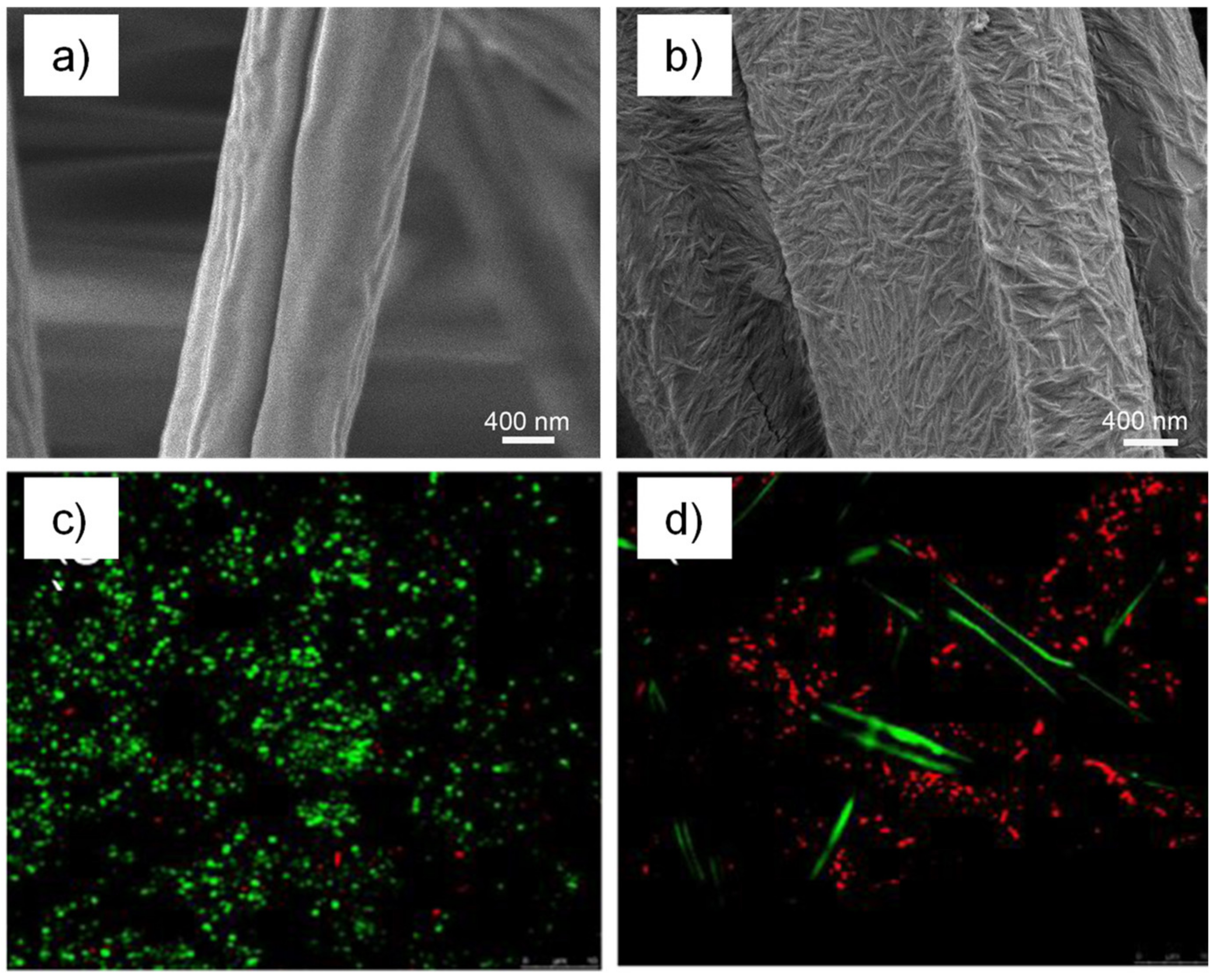 Coatings 12 00144 g005