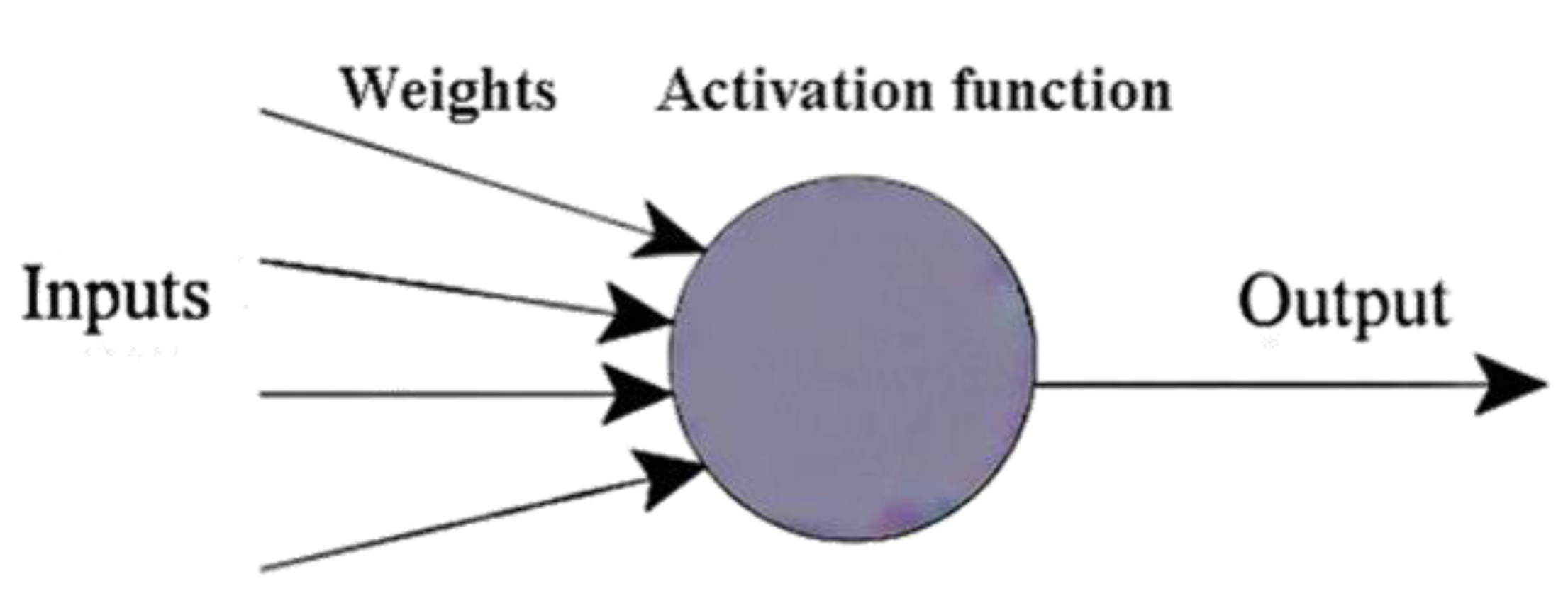 Coatings 12 00145 g001