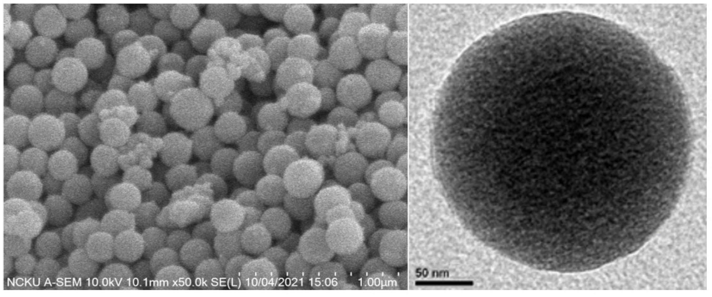 Coatings 12 00146 g001 Coatings 12 00146 g001