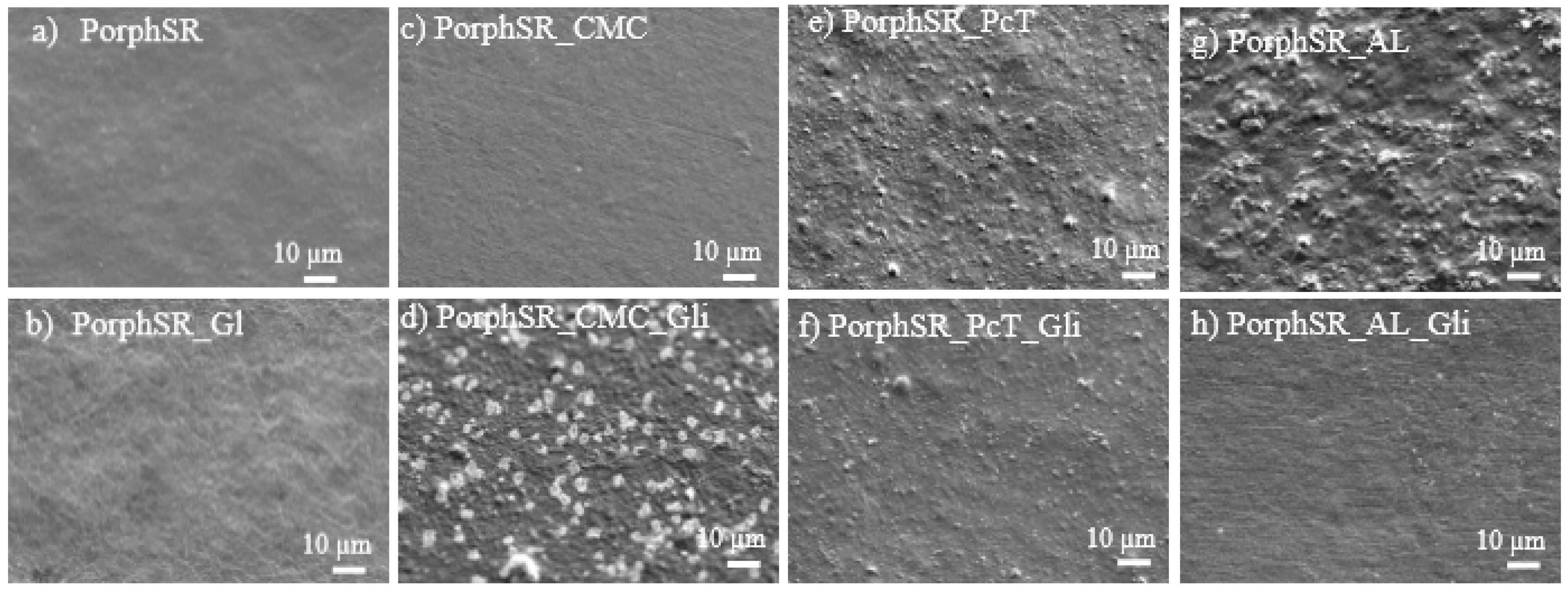 Coatings 12 00148 g002