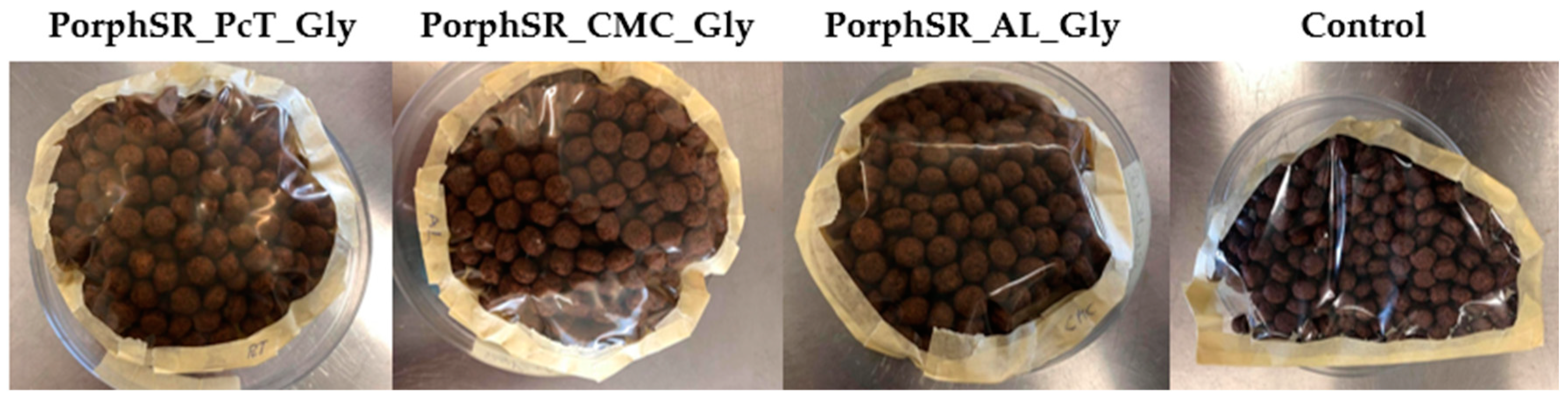 Coatings 12 00148 g003