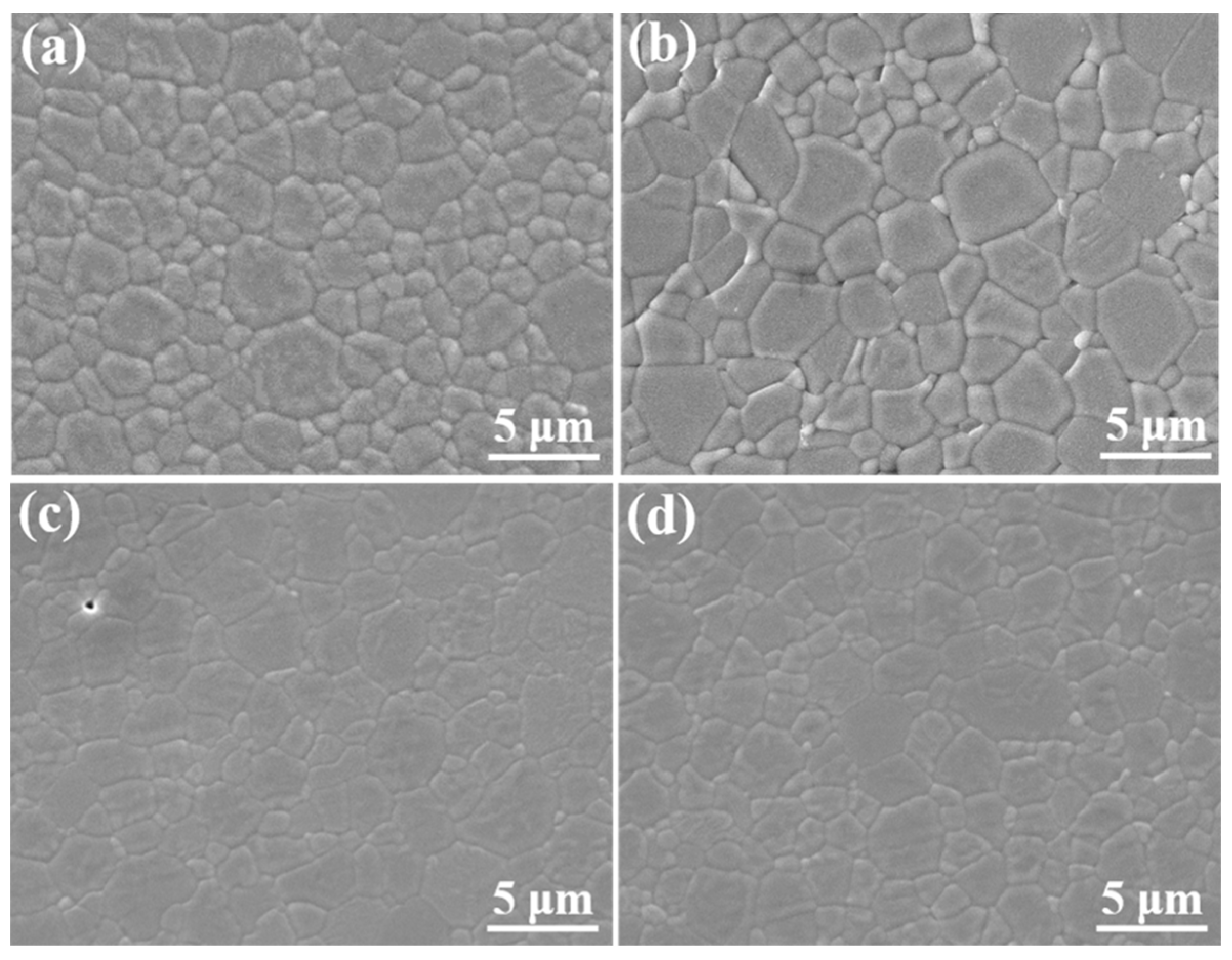 Coatings 12 00155 g005