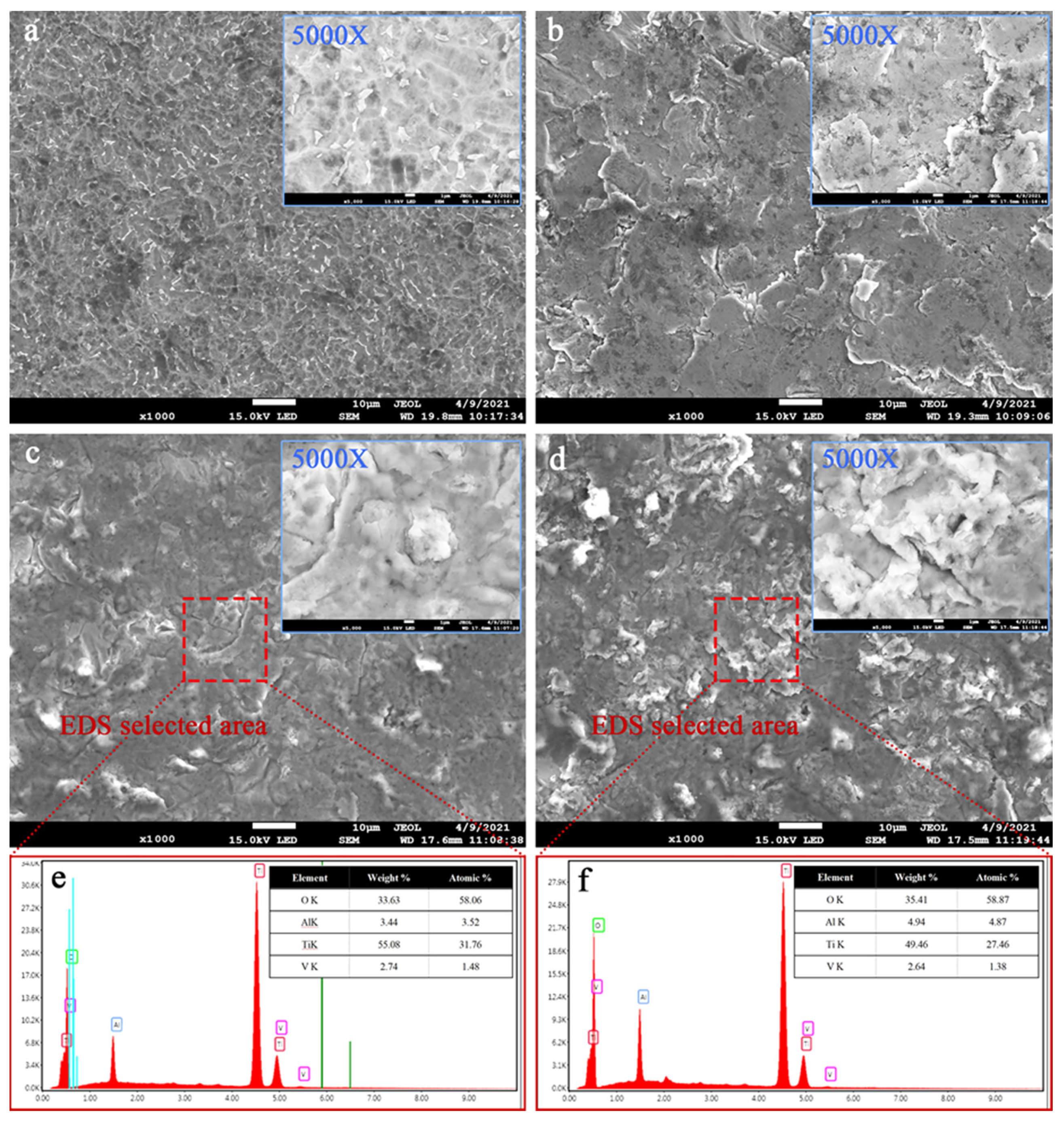 Coatings 12 00157 g002