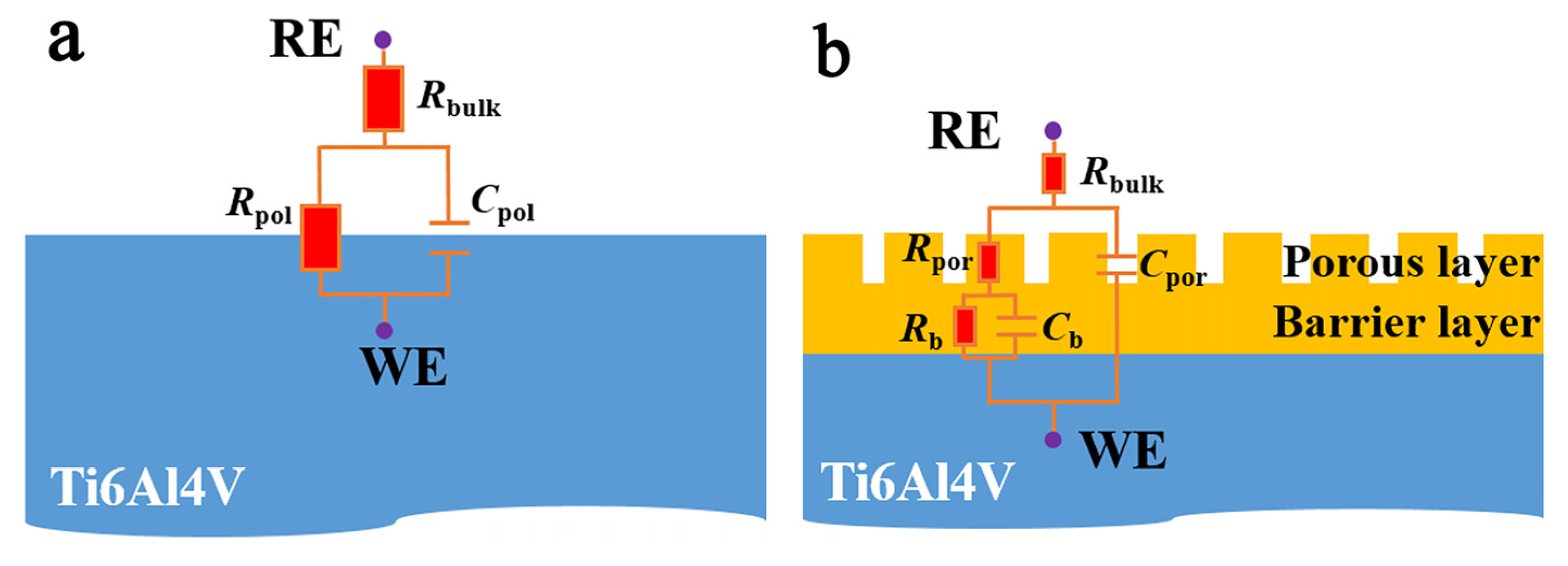 Coatings 12 00157 g012